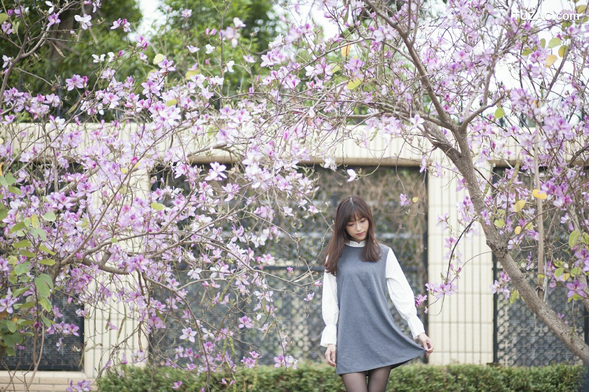 台湾正妹_ 彭丽嘉(Lady憶憶)《樱花下的黑丝》 写真集[33P]