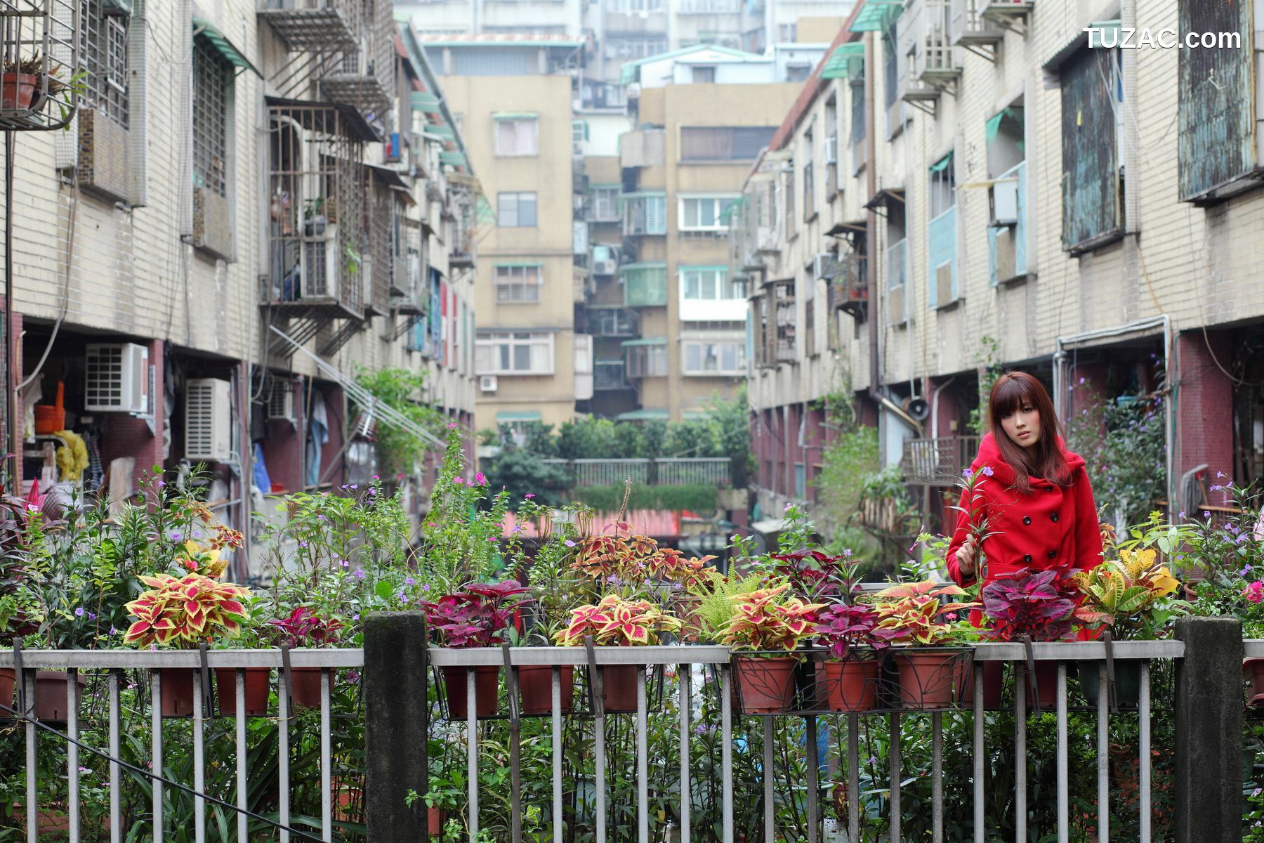台湾正妹_台湾模特Kila晶晶/金允乔《4组街拍系列图片》合集