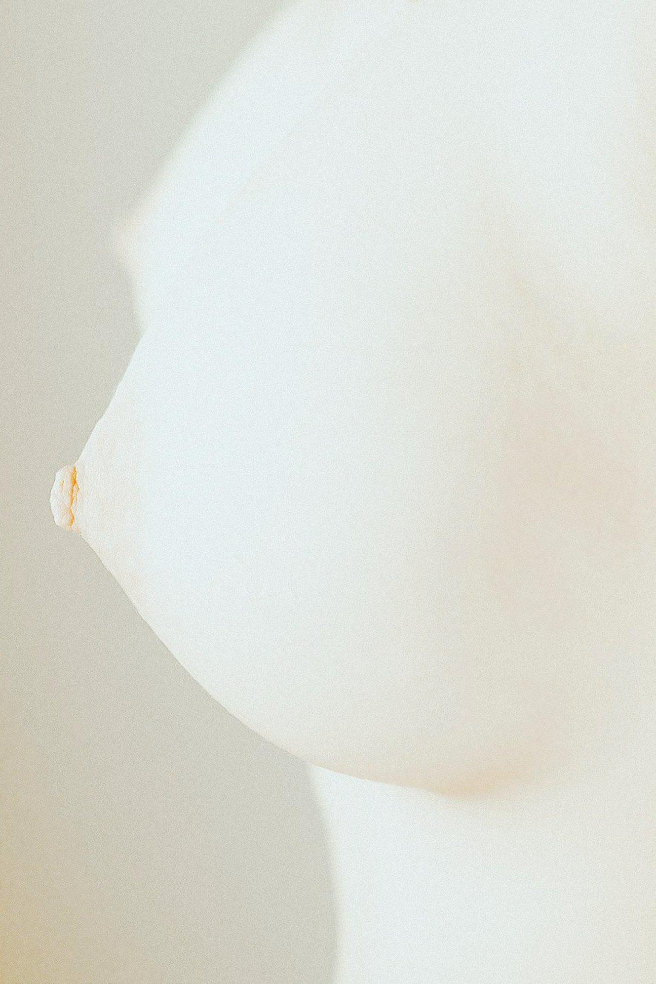 【网络收集】摄影师无尘大尺度人体私拍作品集 - 未分类人体摄影