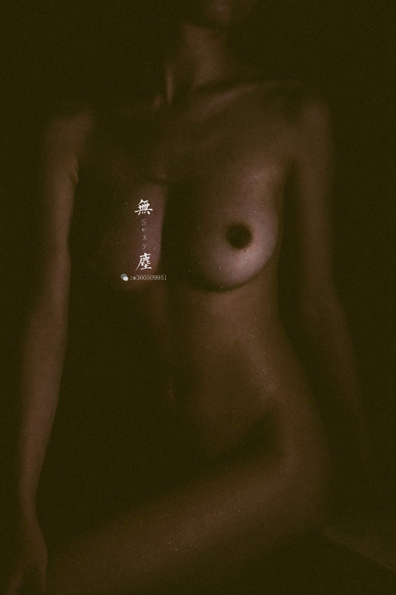 【网络收集】摄影师无尘大尺度人体私拍作品集 - 未分类人体摄影