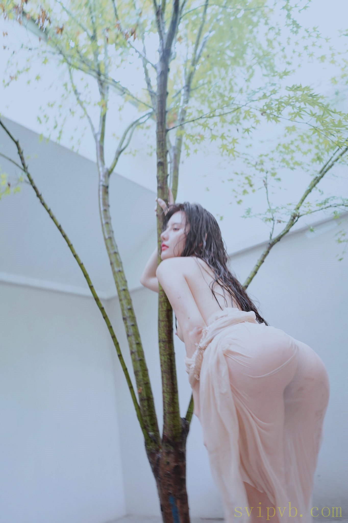 就是阿朱啊 Instgram收集 - 人体摄影