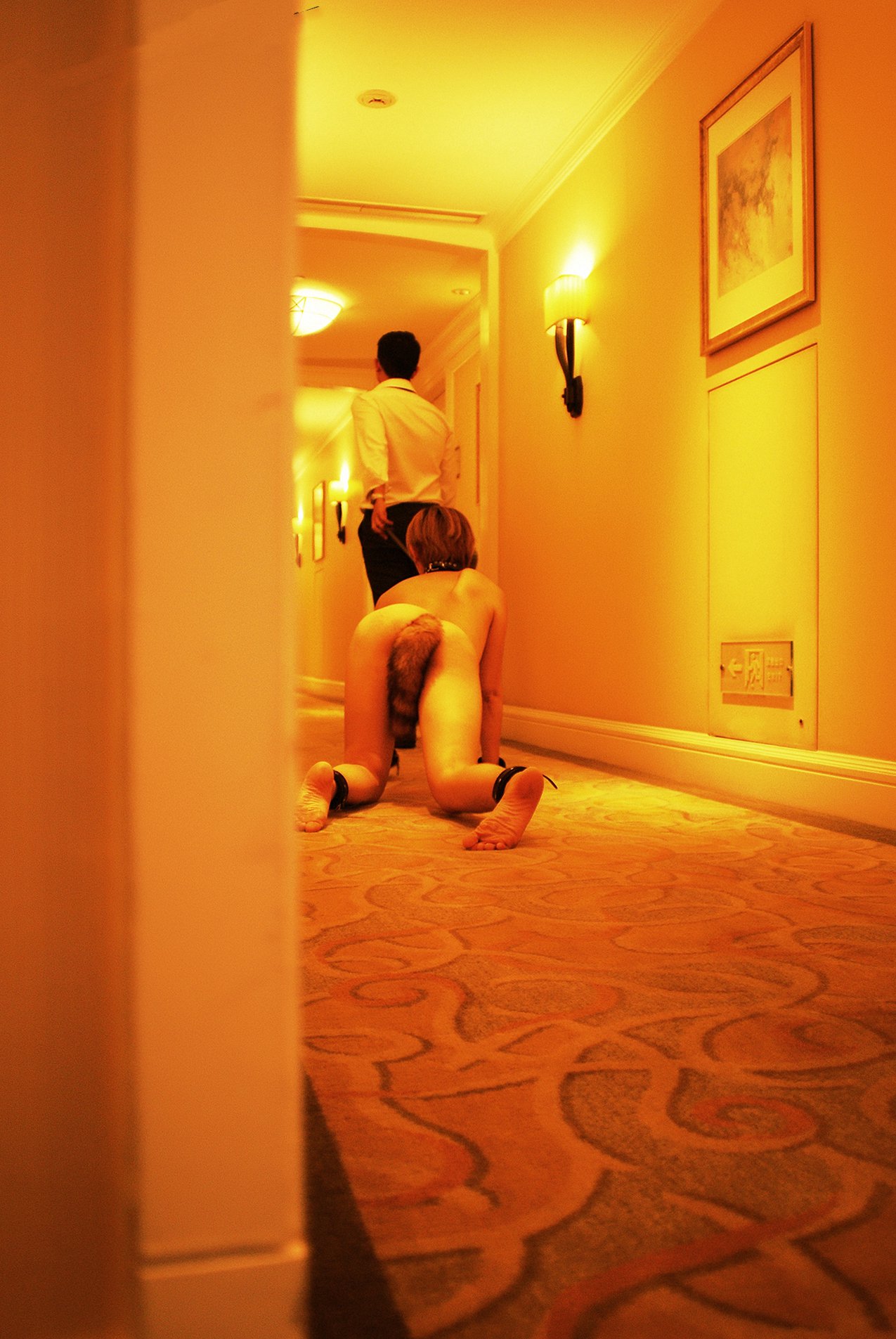 就是阿朱啊 SM调教大尺度写真 - 王动作品