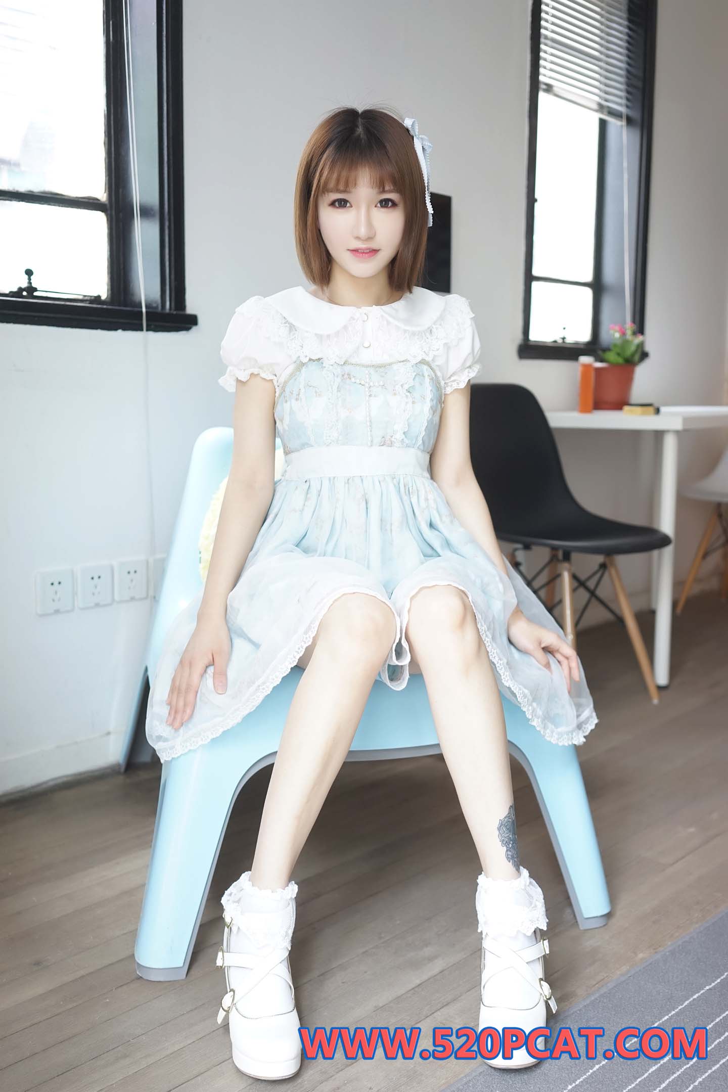 特刊 特刊：萌萌 - 轰趴猫