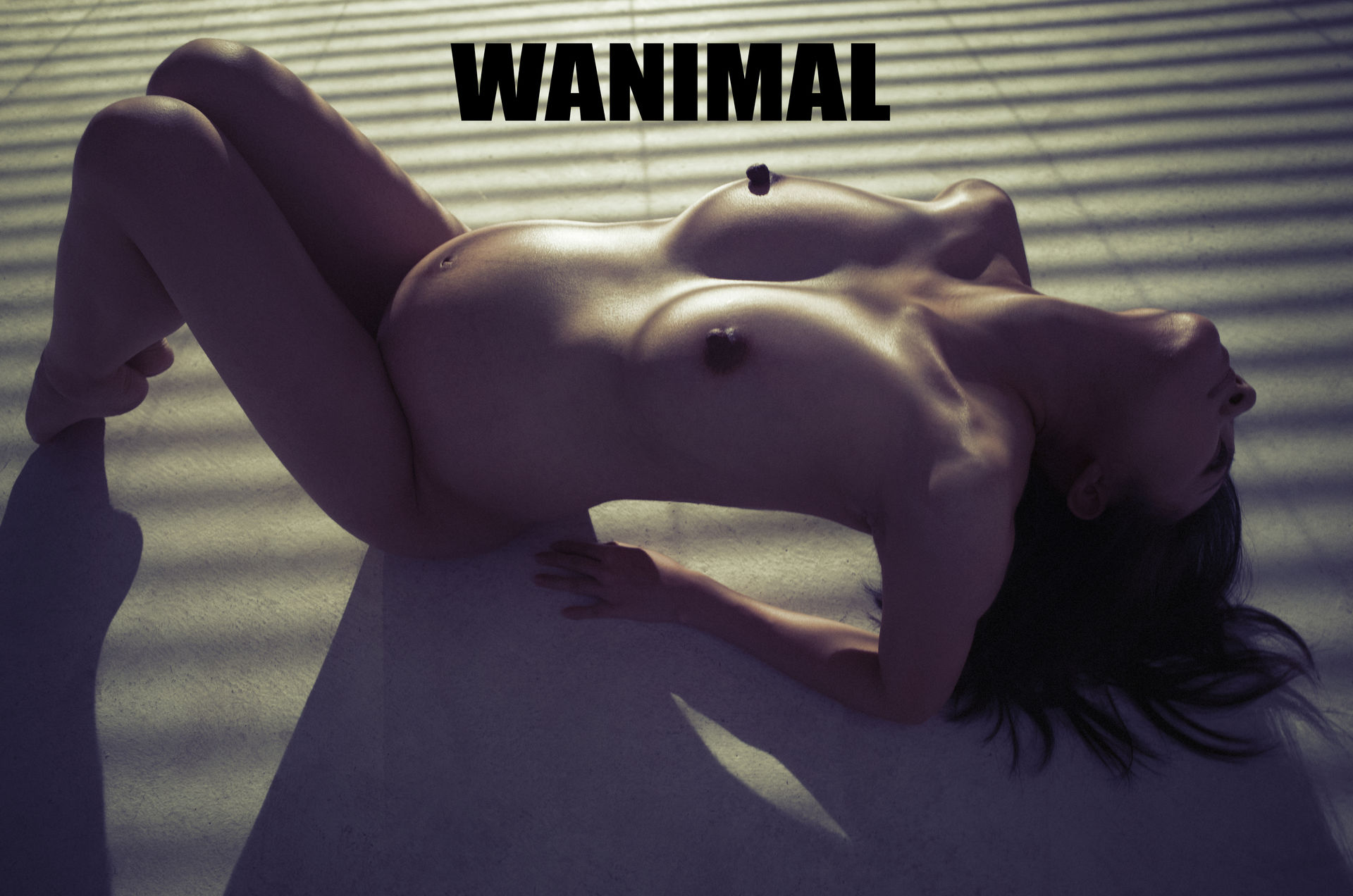 王动出品：VIP套图 第22期 - 王动作品