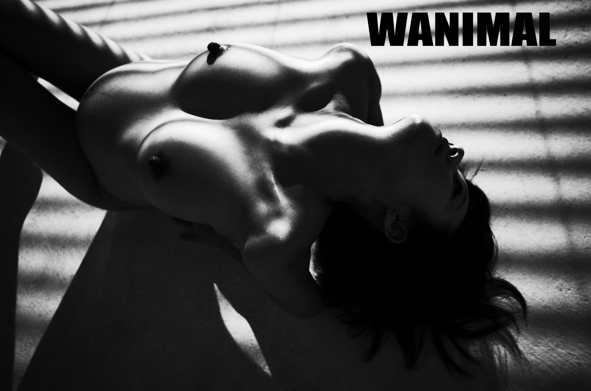 王动出品：VIP套图 第22期 - 王动作品