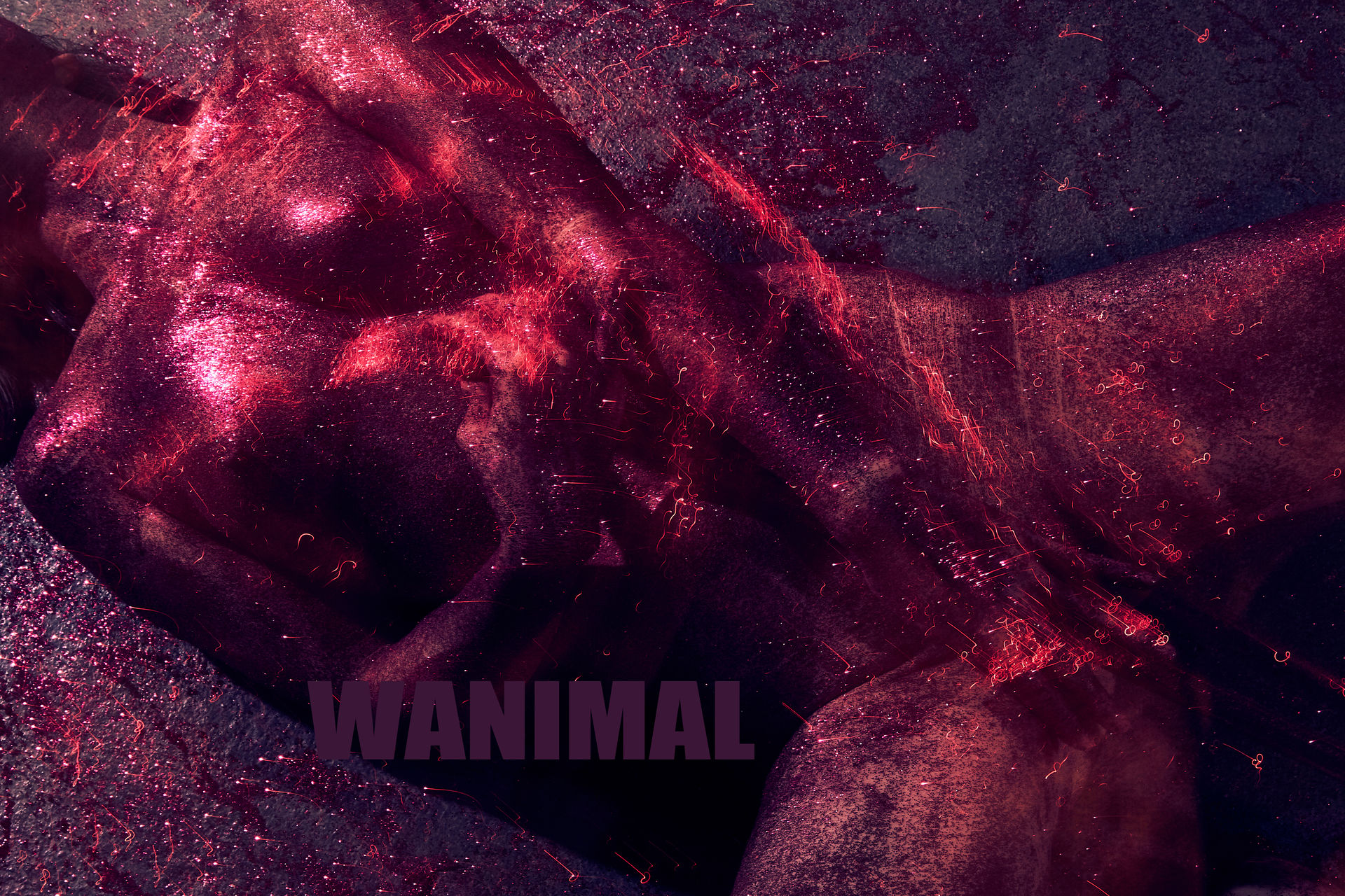 王动出品：VIP套图 第24期 - 王动作品