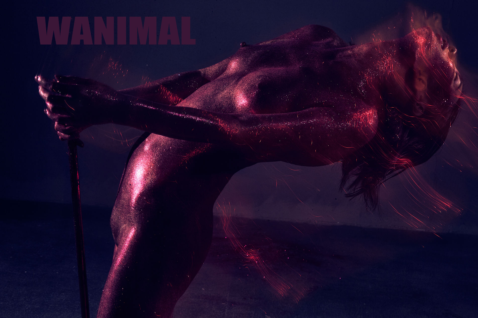 王动出品：VIP套图 第24期 - 王动作品