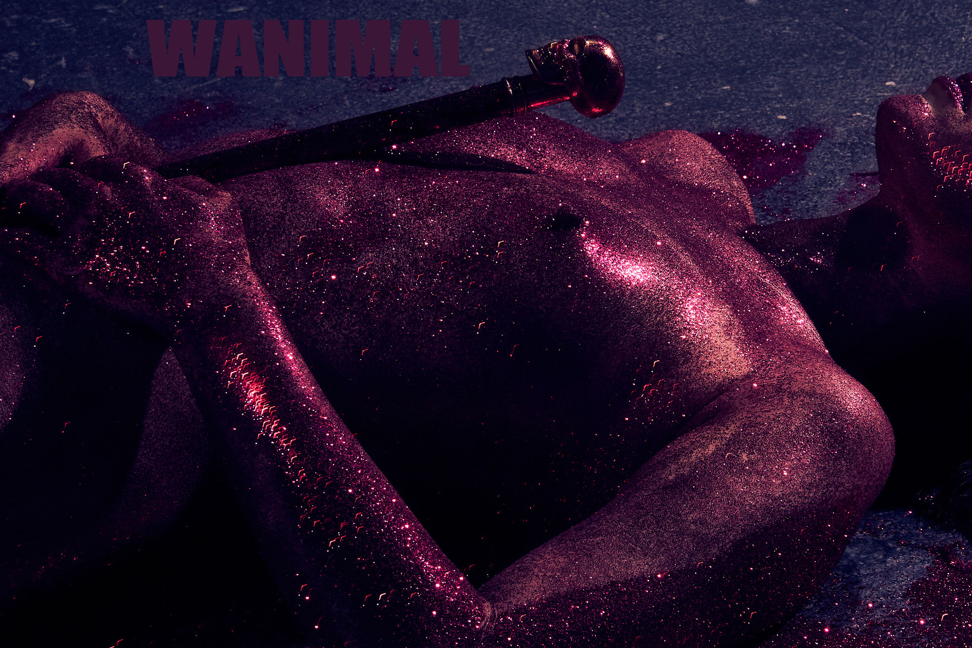 王动出品：VIP套图 第24期 - 王动作品