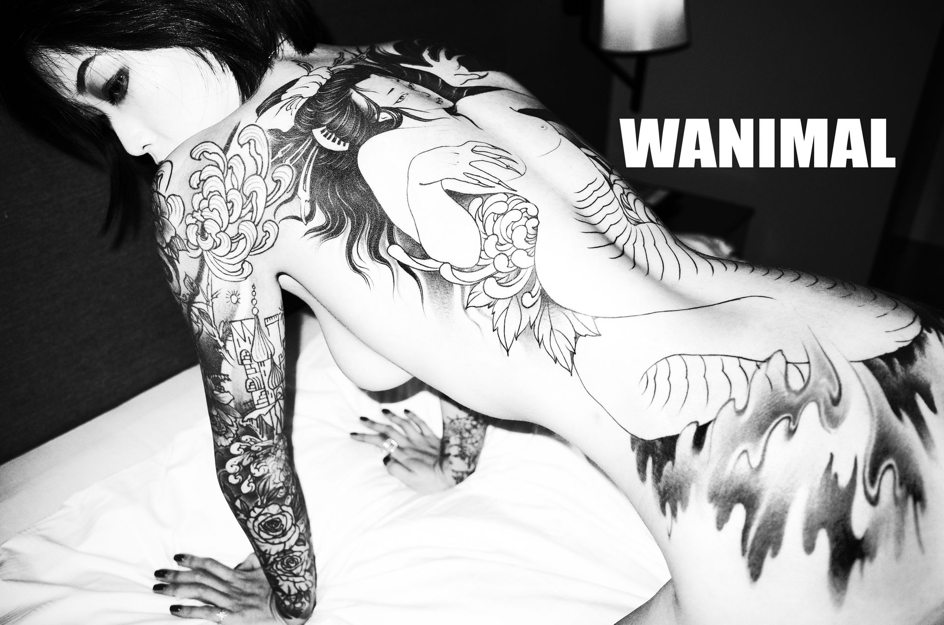 王动出品：法拉利女孩 - 王动作品