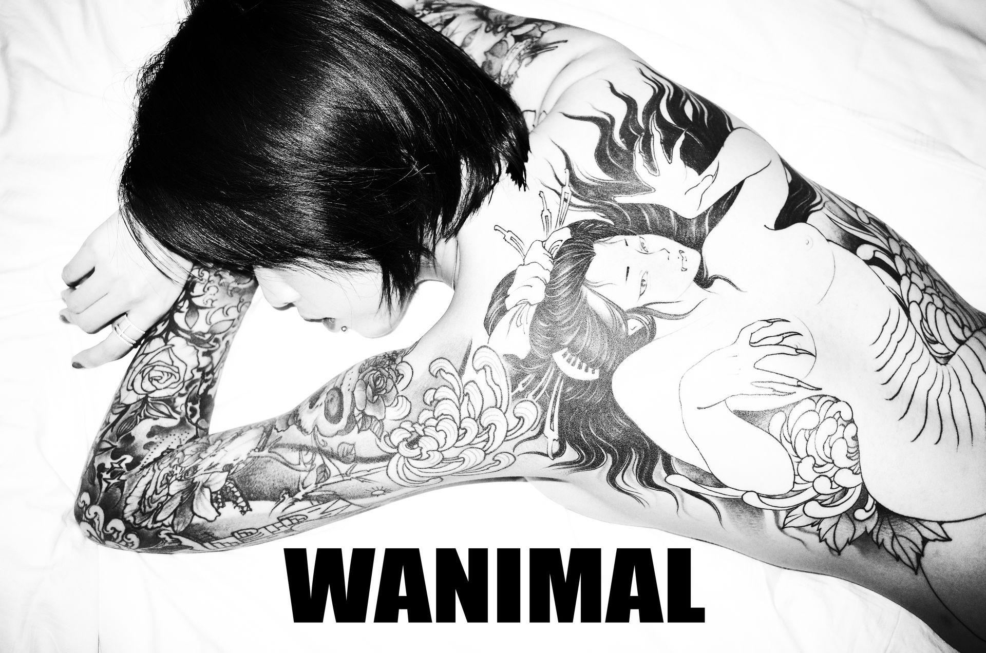 王动出品：法拉利女孩 - 王动作品