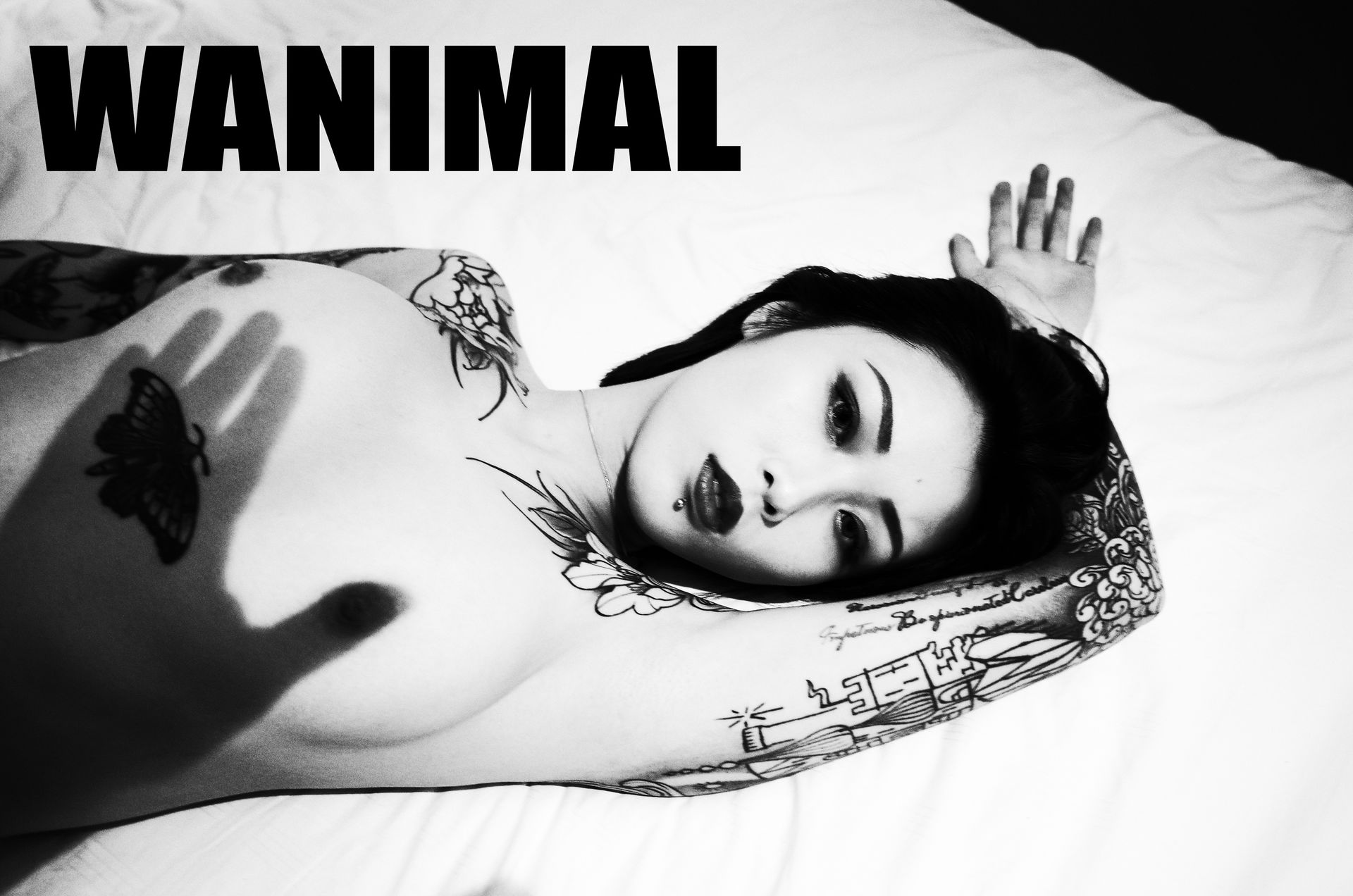 王动出品：法拉利女孩 - 王动作品