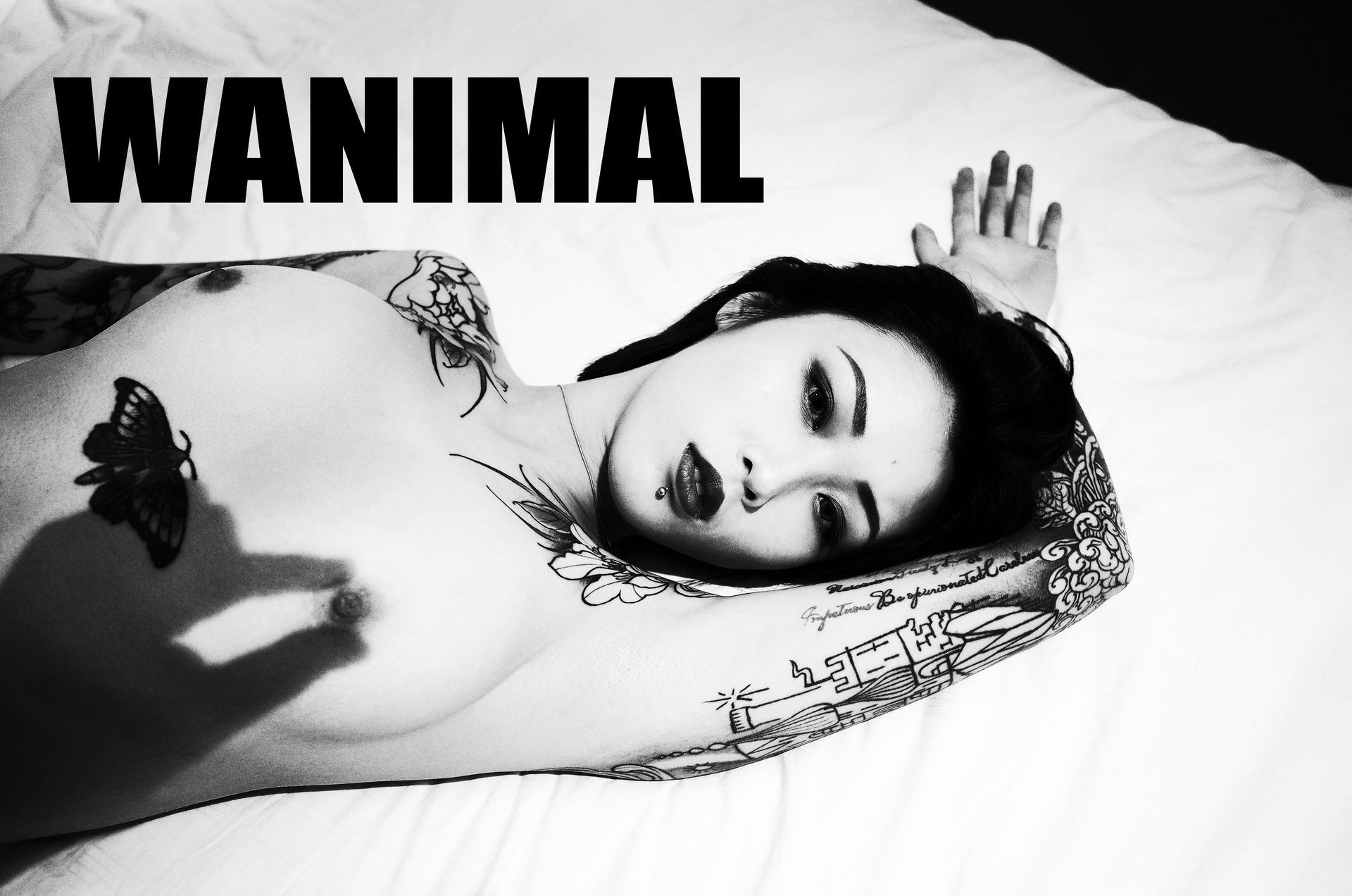 王动出品：法拉利女孩 - 王动作品