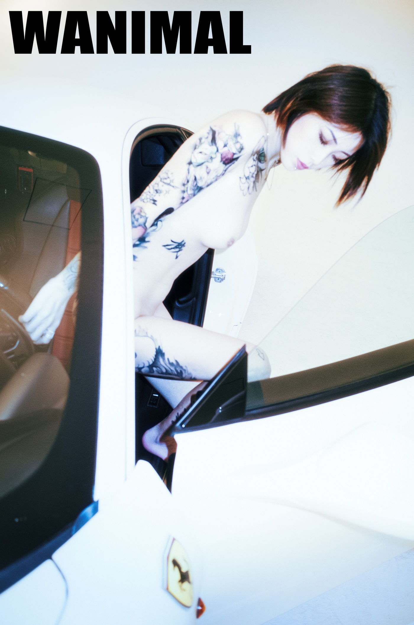 王动出品：法拉利女孩 - 王动作品