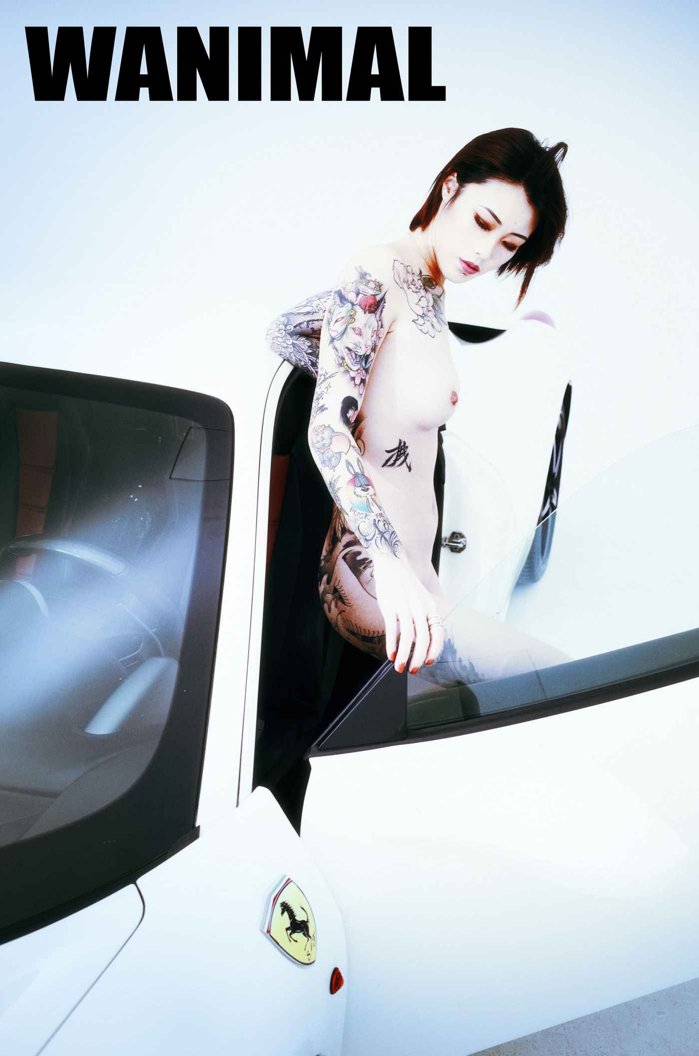 王动出品：法拉利女孩 - 王动作品