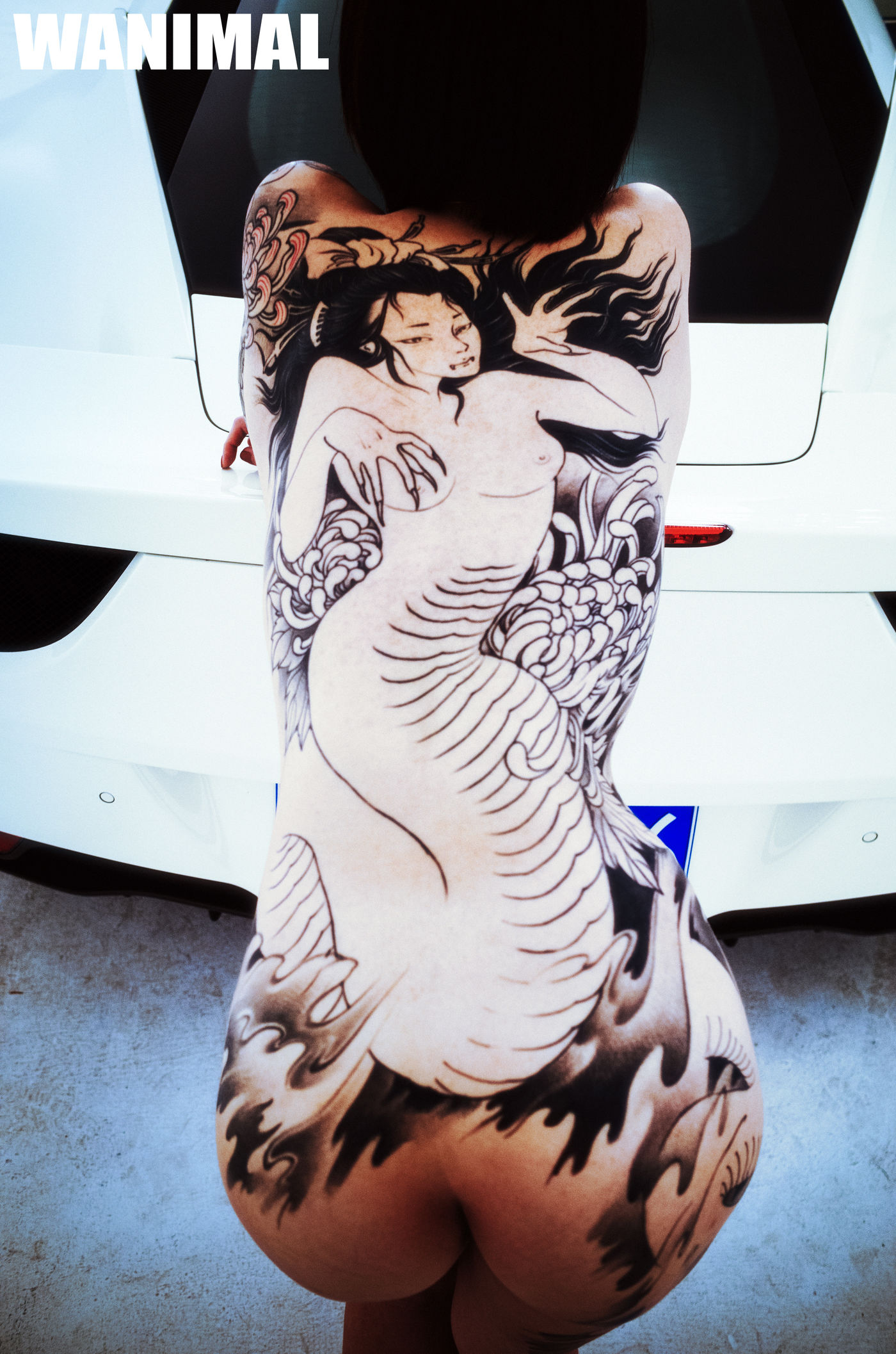 王动出品：法拉利女孩 - 王动作品