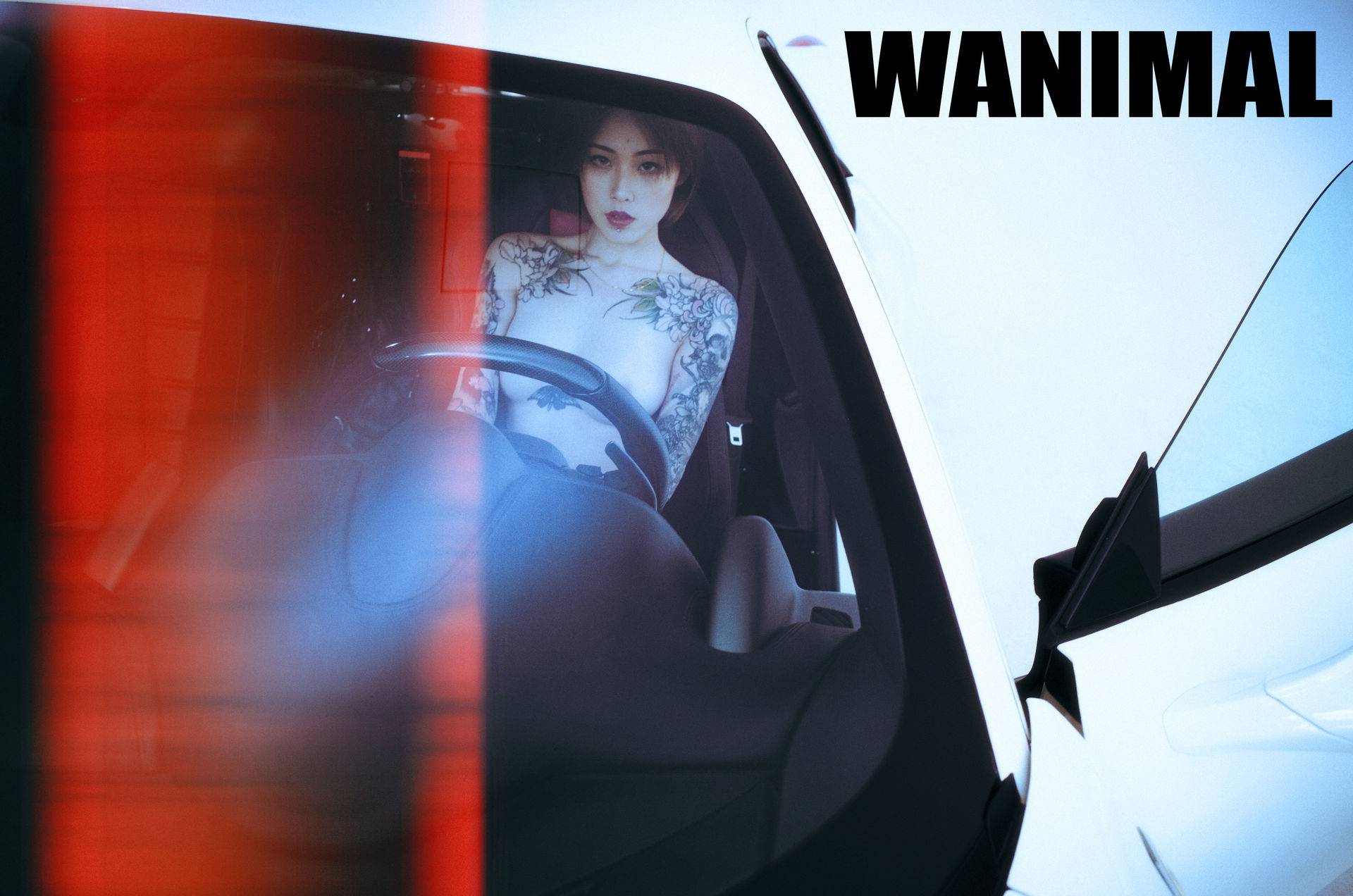 王动出品：法拉利女孩 - 王动作品