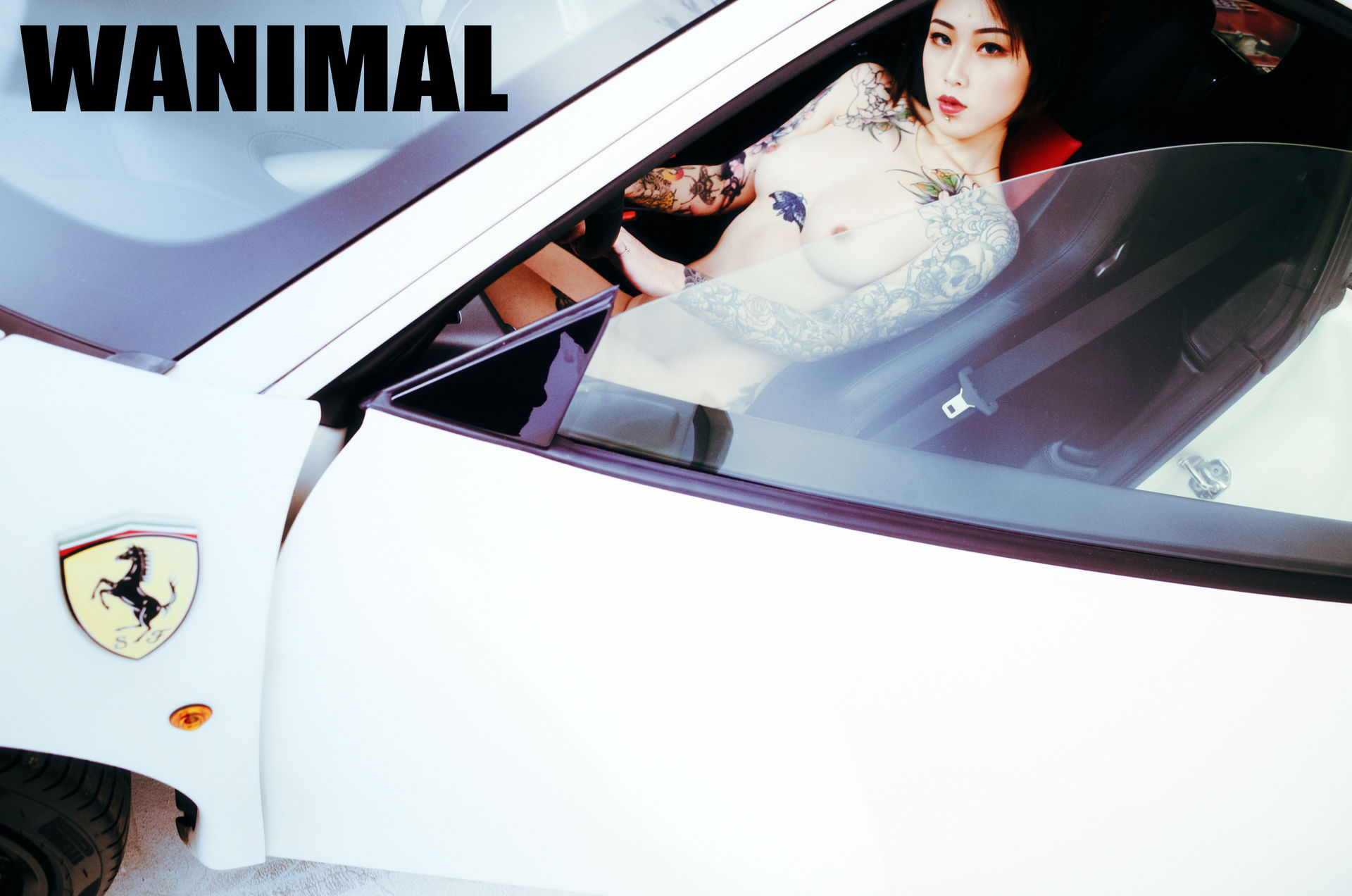 王动出品：法拉利女孩 - 王动作品