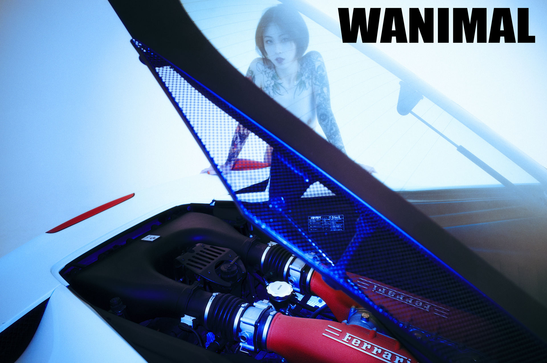 王动出品：法拉利女孩 - 王动作品