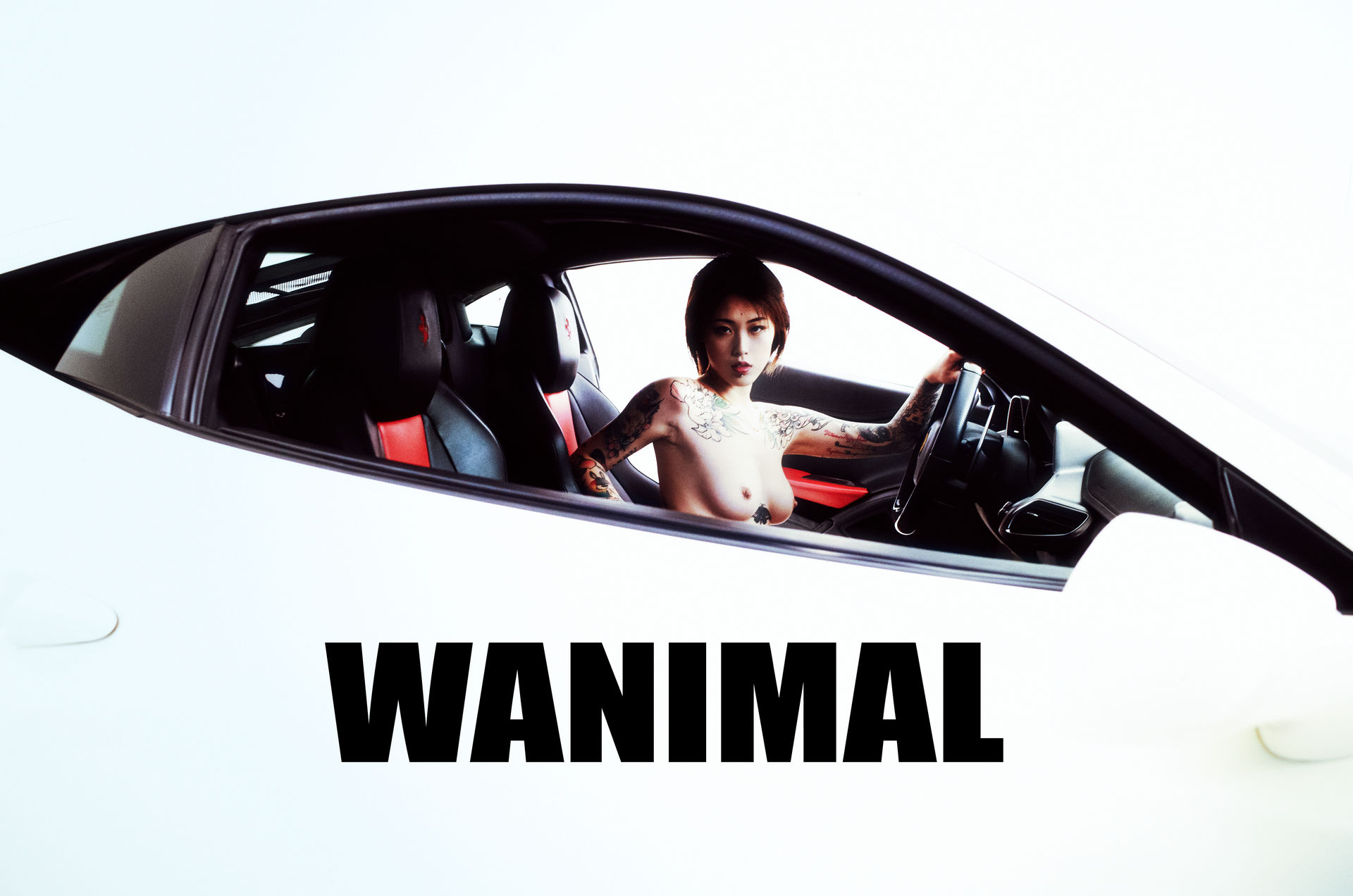 王动出品：法拉利女孩 - 王动作品