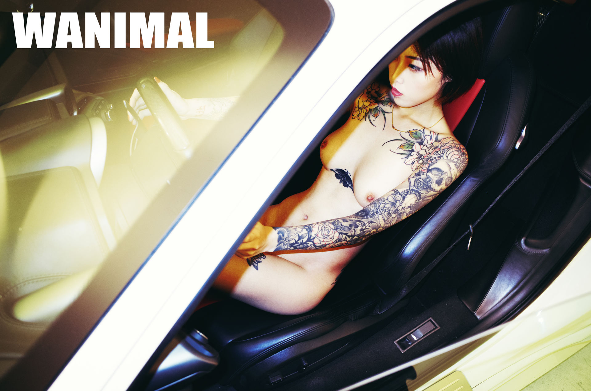 王动出品：法拉利女孩 - 王动作品