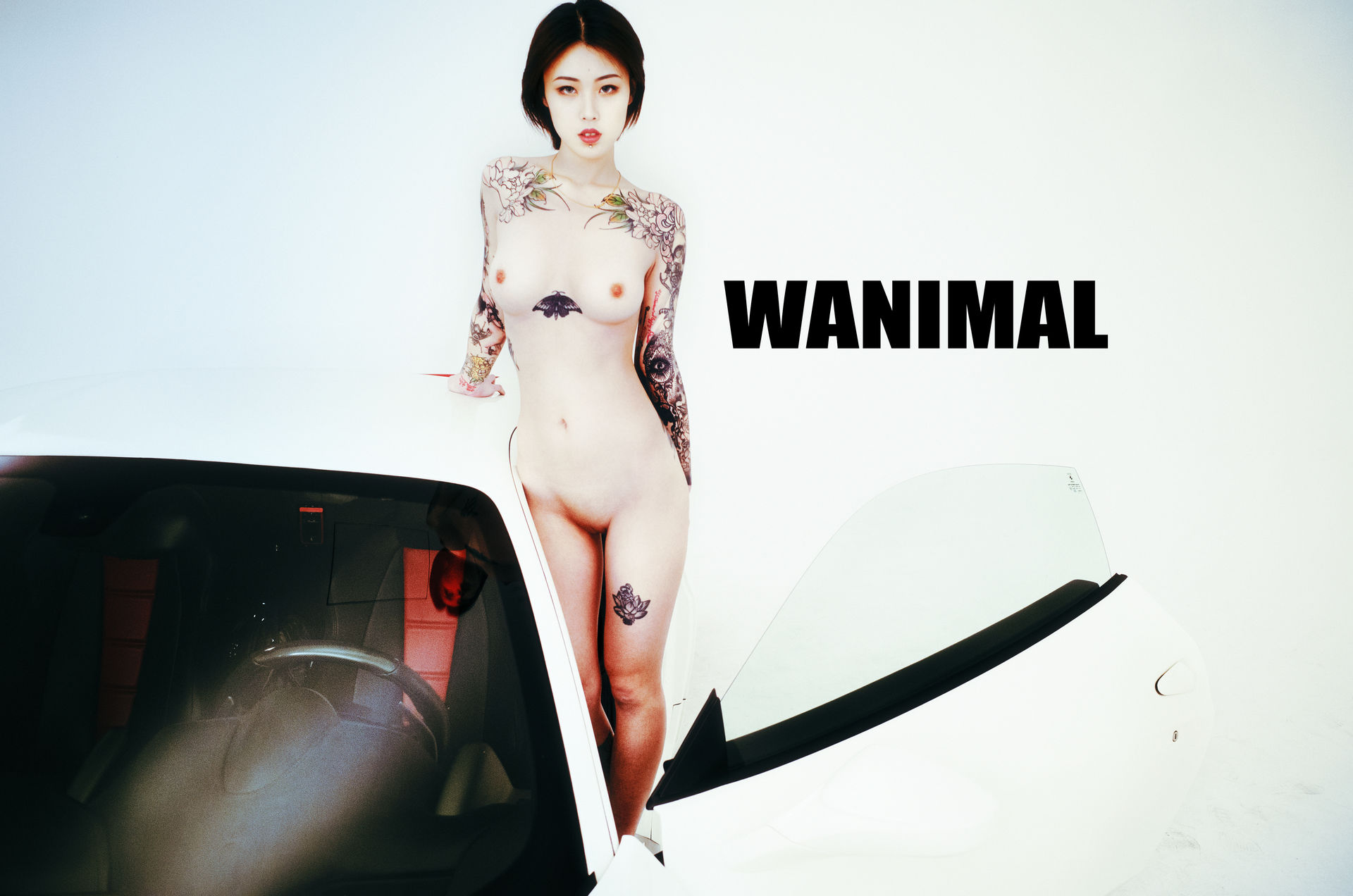 王动出品：法拉利女孩 - 王动作品