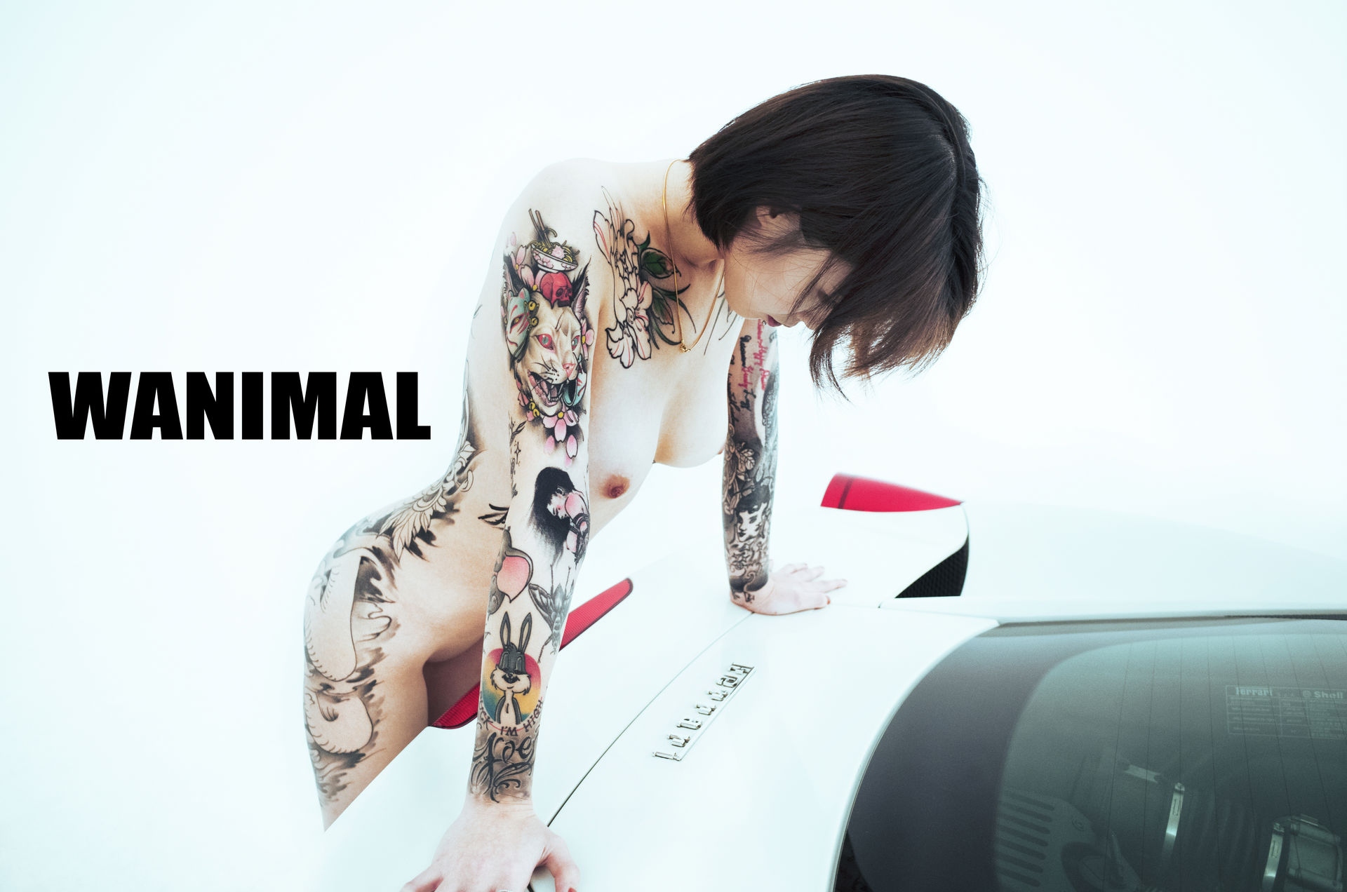 王动出品：法拉利女孩 - 王动作品