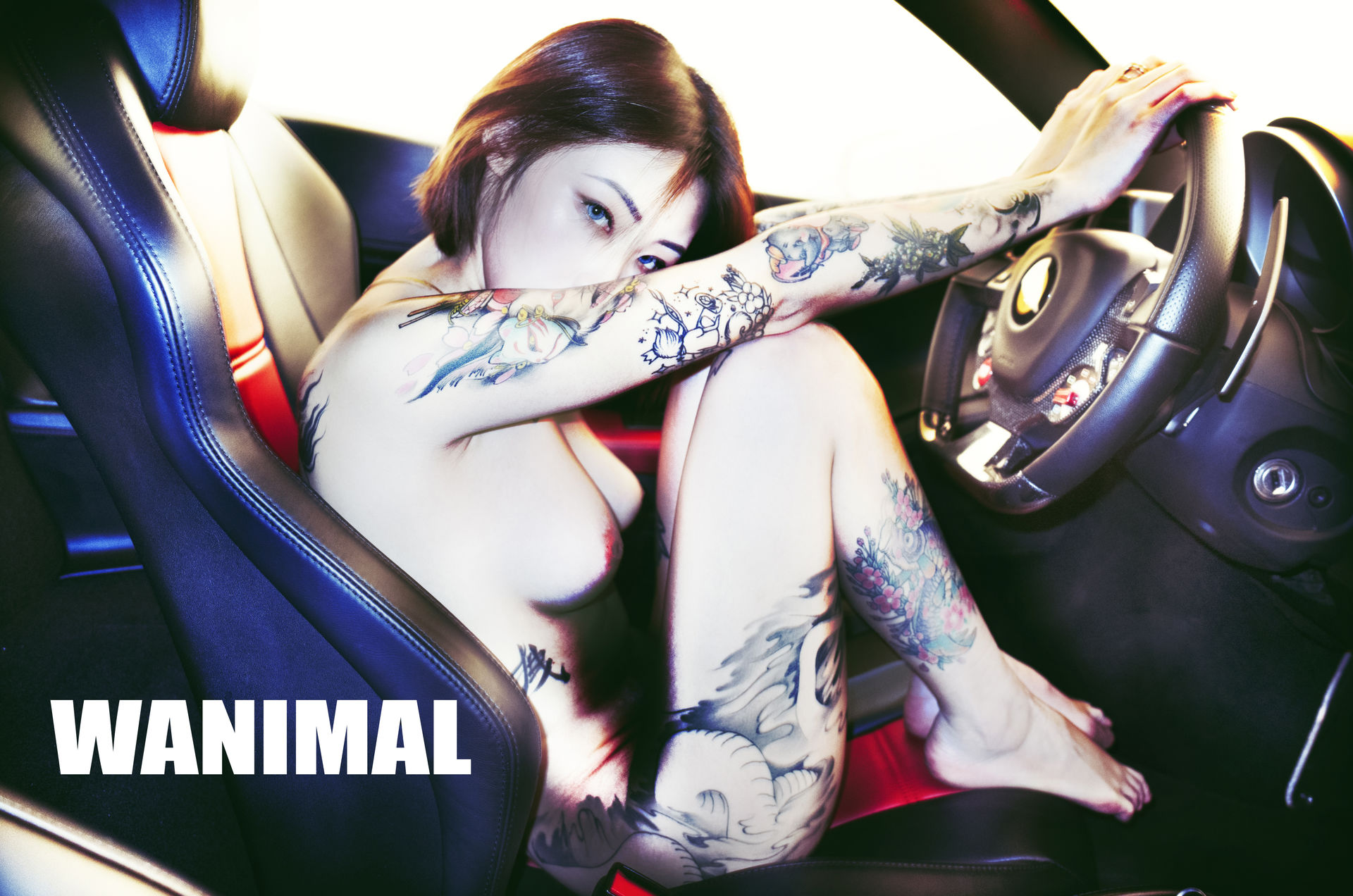 王动出品：法拉利女孩 - 王动作品