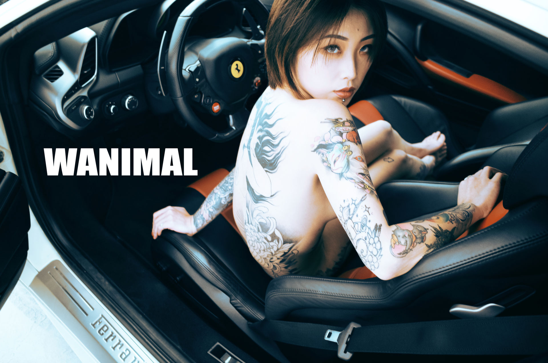 王动出品：法拉利女孩 - 王动作品