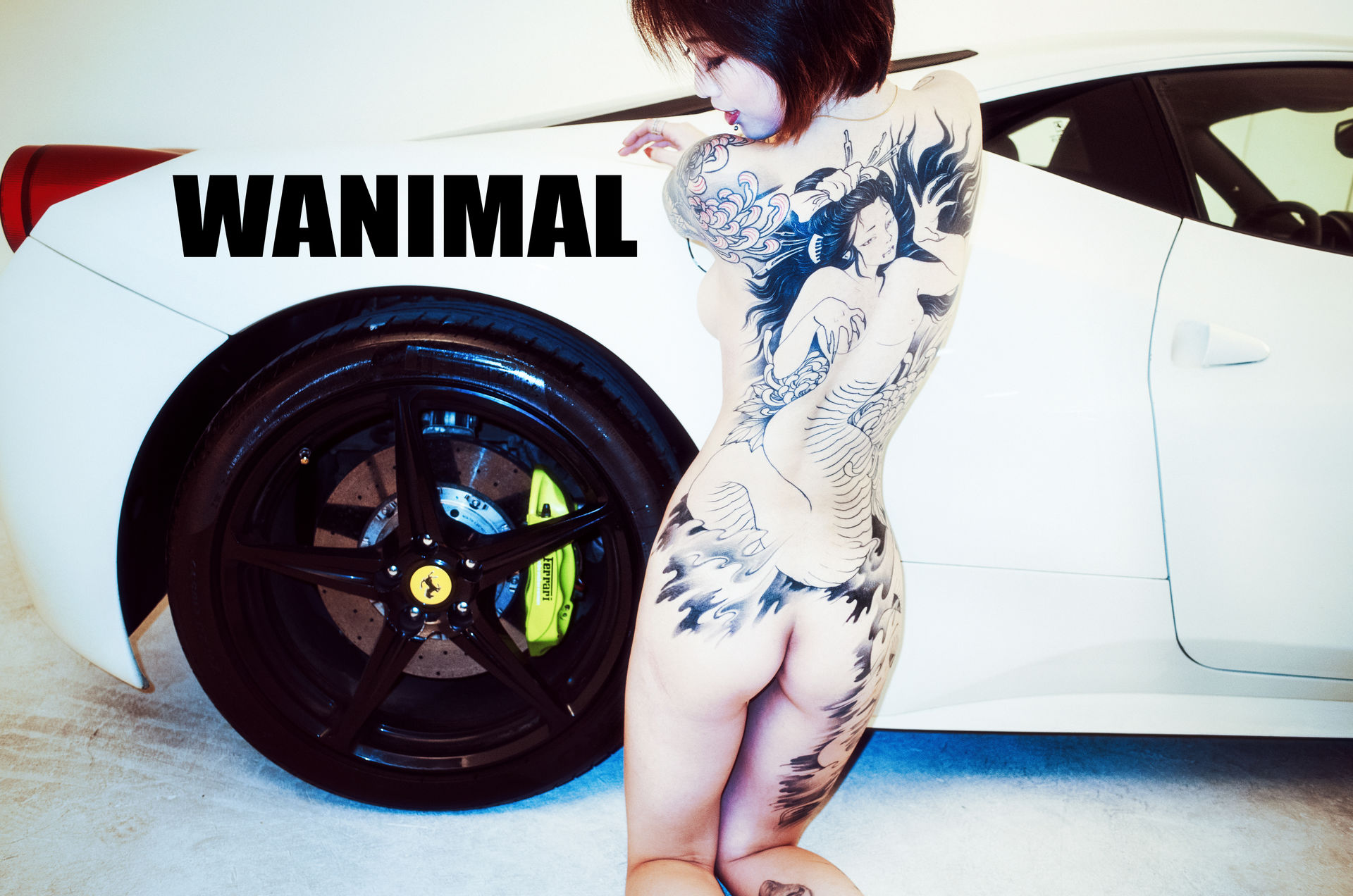 王动出品：法拉利女孩 - 王动作品