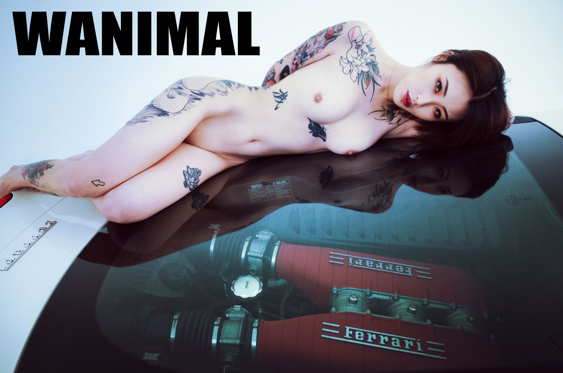 王动出品：法拉利女孩 - 王动作品