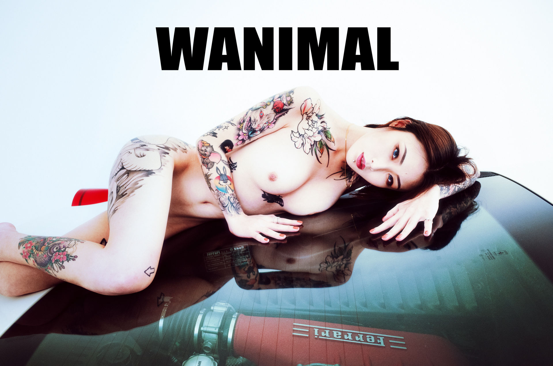 王动出品：法拉利女孩 - 王动作品