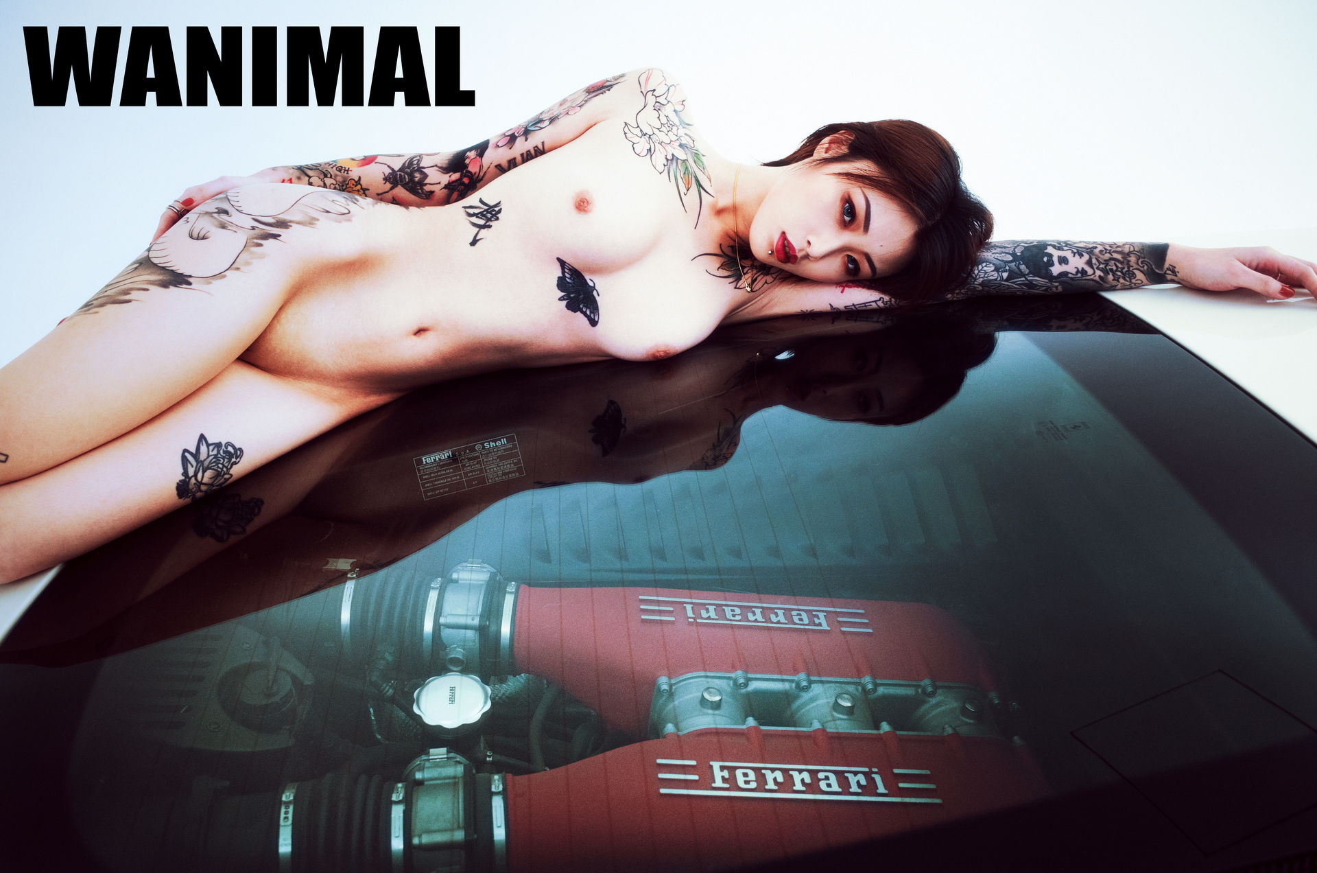 王动出品：法拉利女孩 - 王动作品