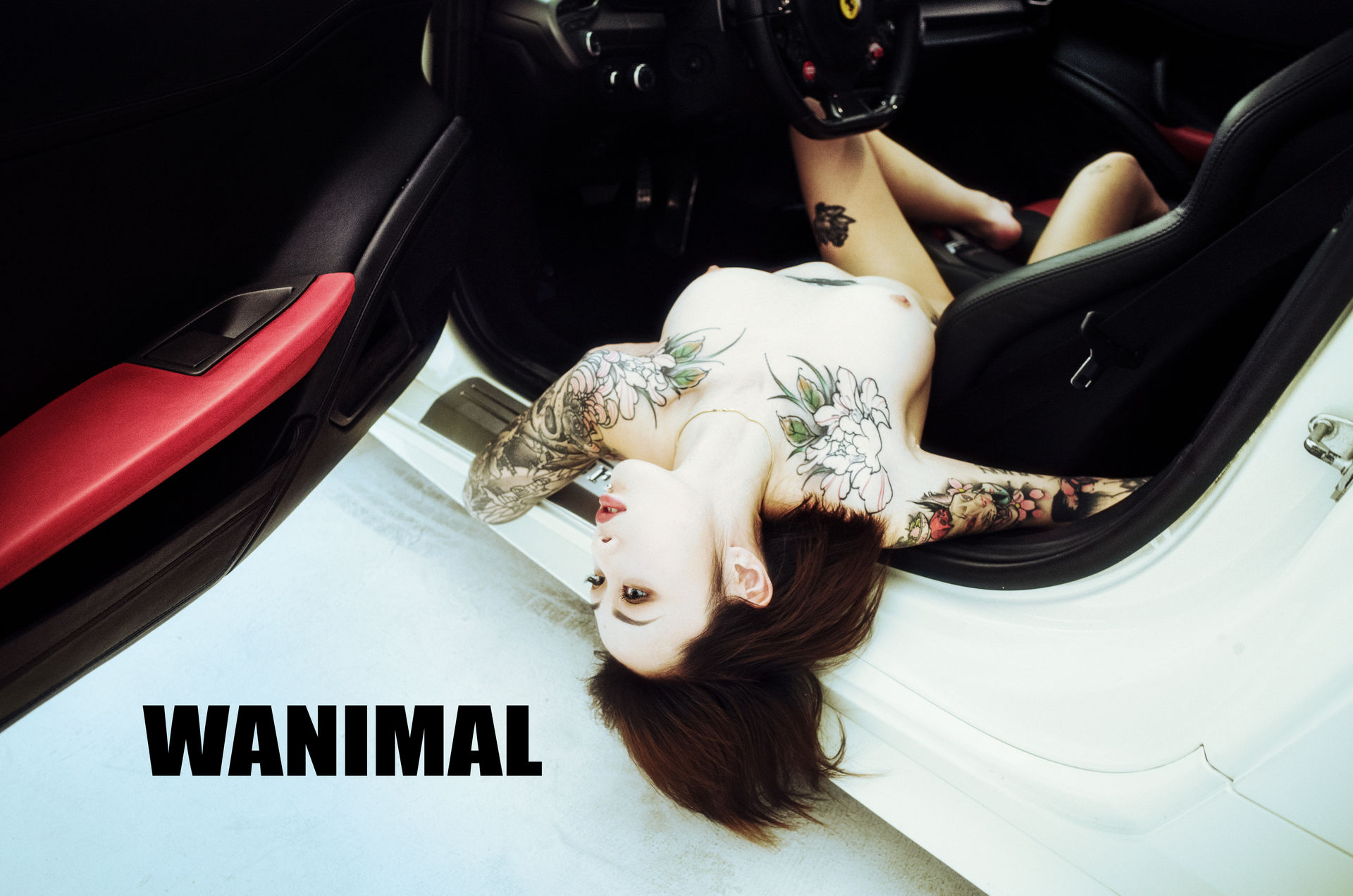 王动出品：法拉利女孩 - 王动作品