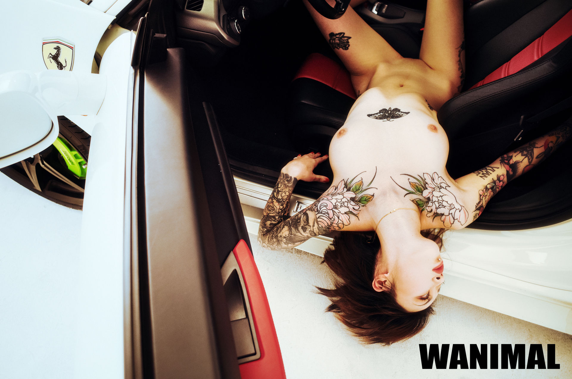 王动出品：法拉利女孩 - 王动作品