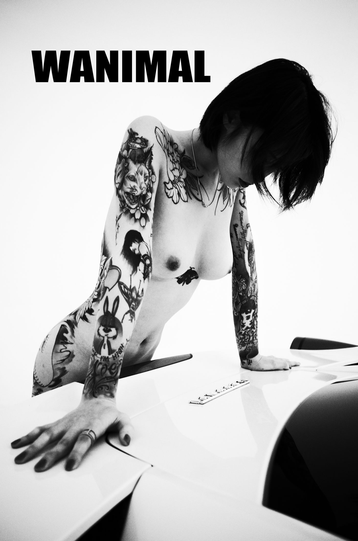 王动出品：法拉利女孩 - 王动作品