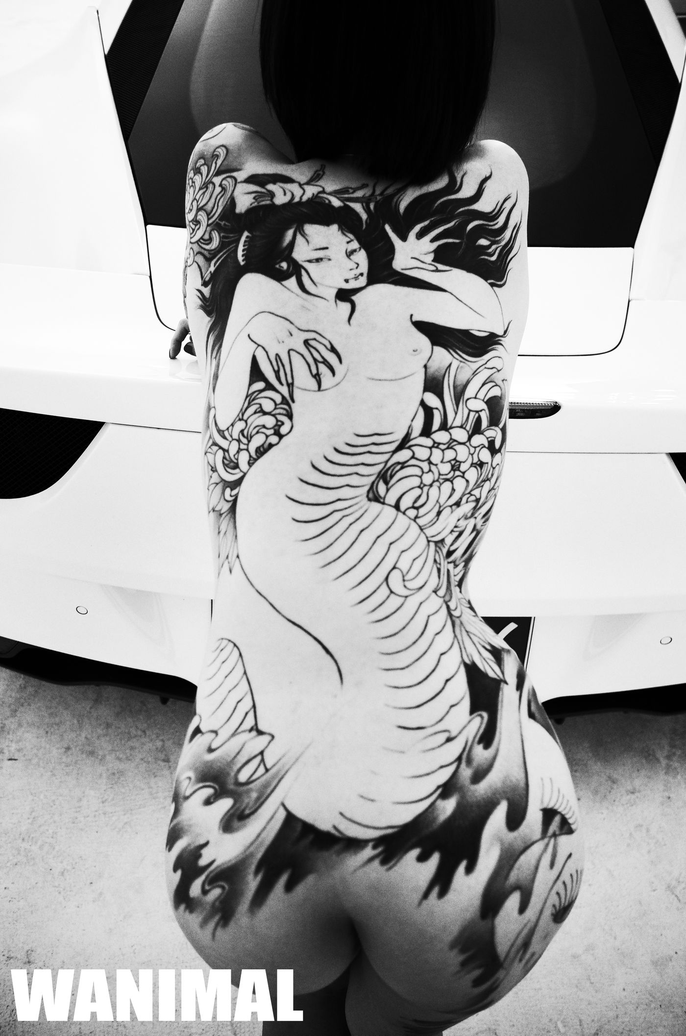 王动出品：法拉利女孩 - 王动作品