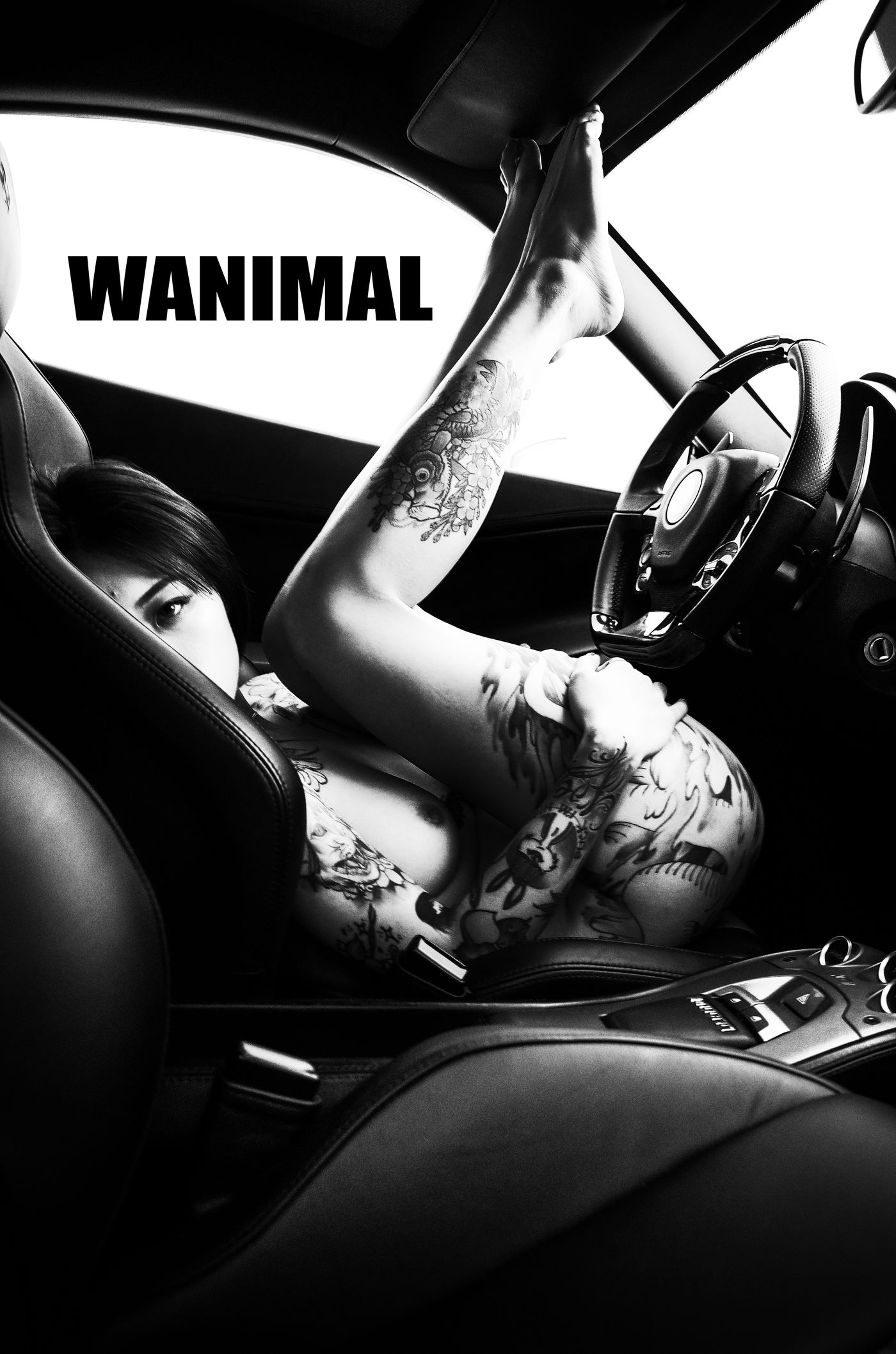 王动出品：法拉利女孩 - 王动作品