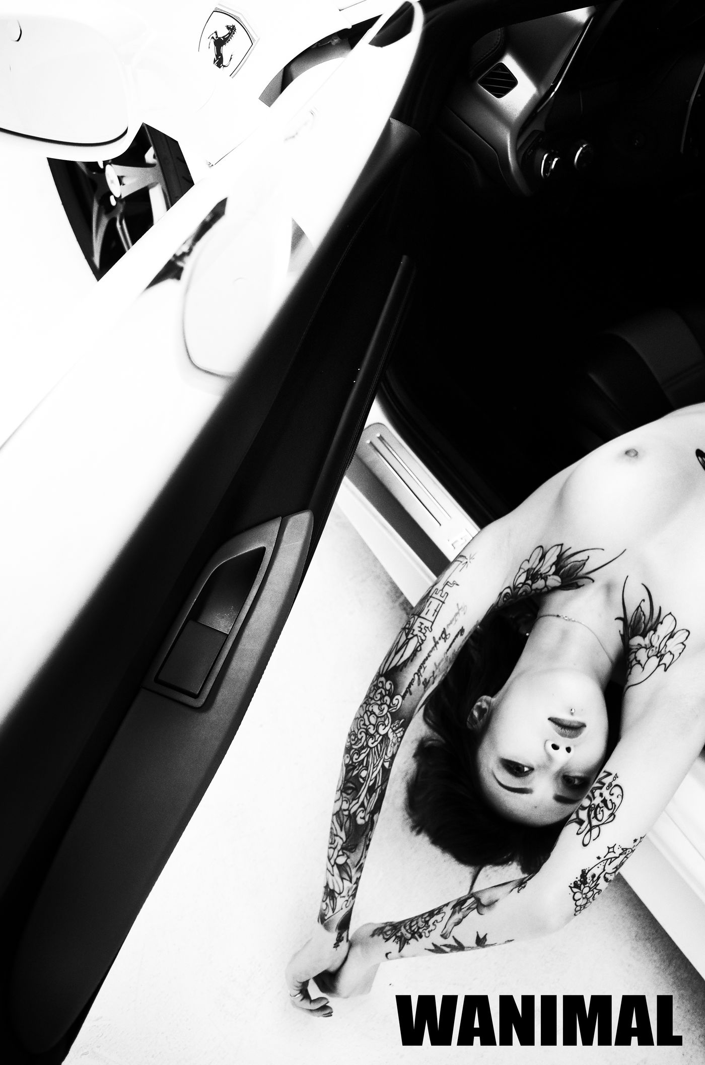 王动出品：法拉利女孩 - 王动作品