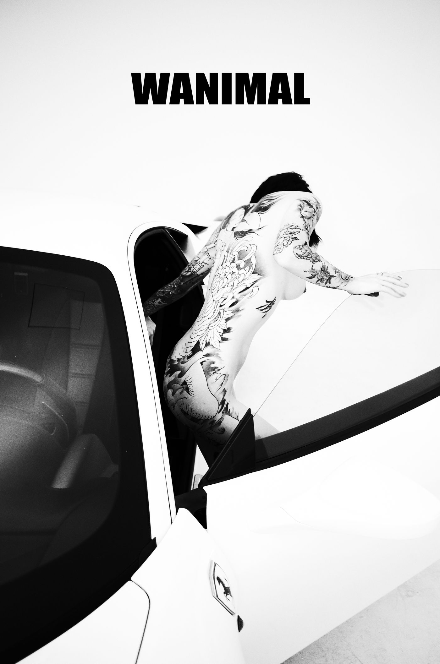 王动出品：法拉利女孩 - 王动作品