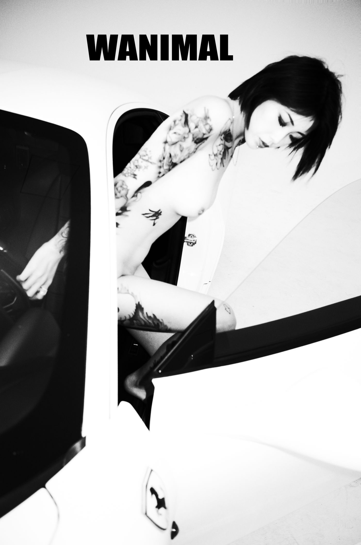 王动出品：法拉利女孩 - 王动作品