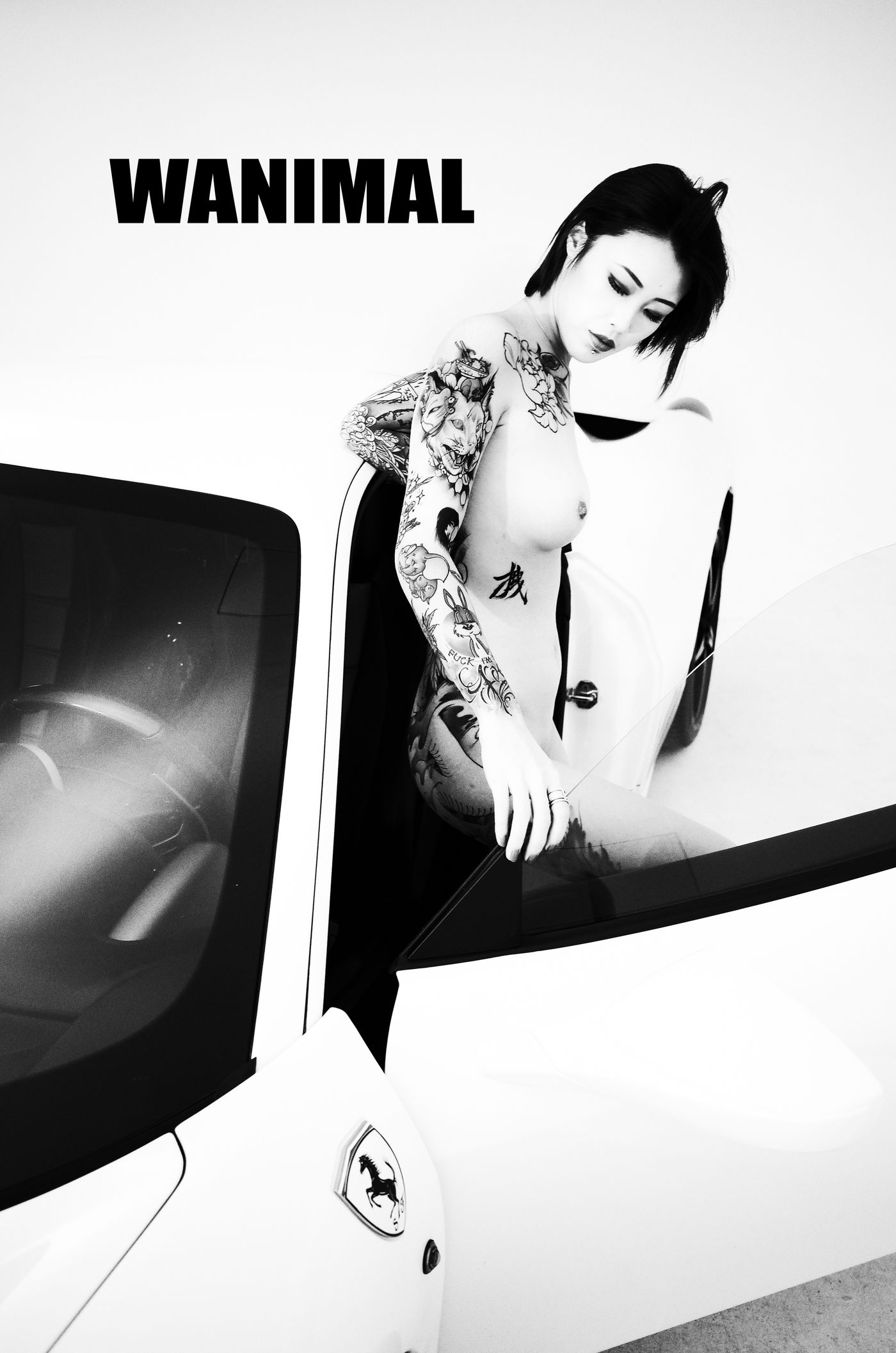 王动出品：法拉利女孩 - 王动作品