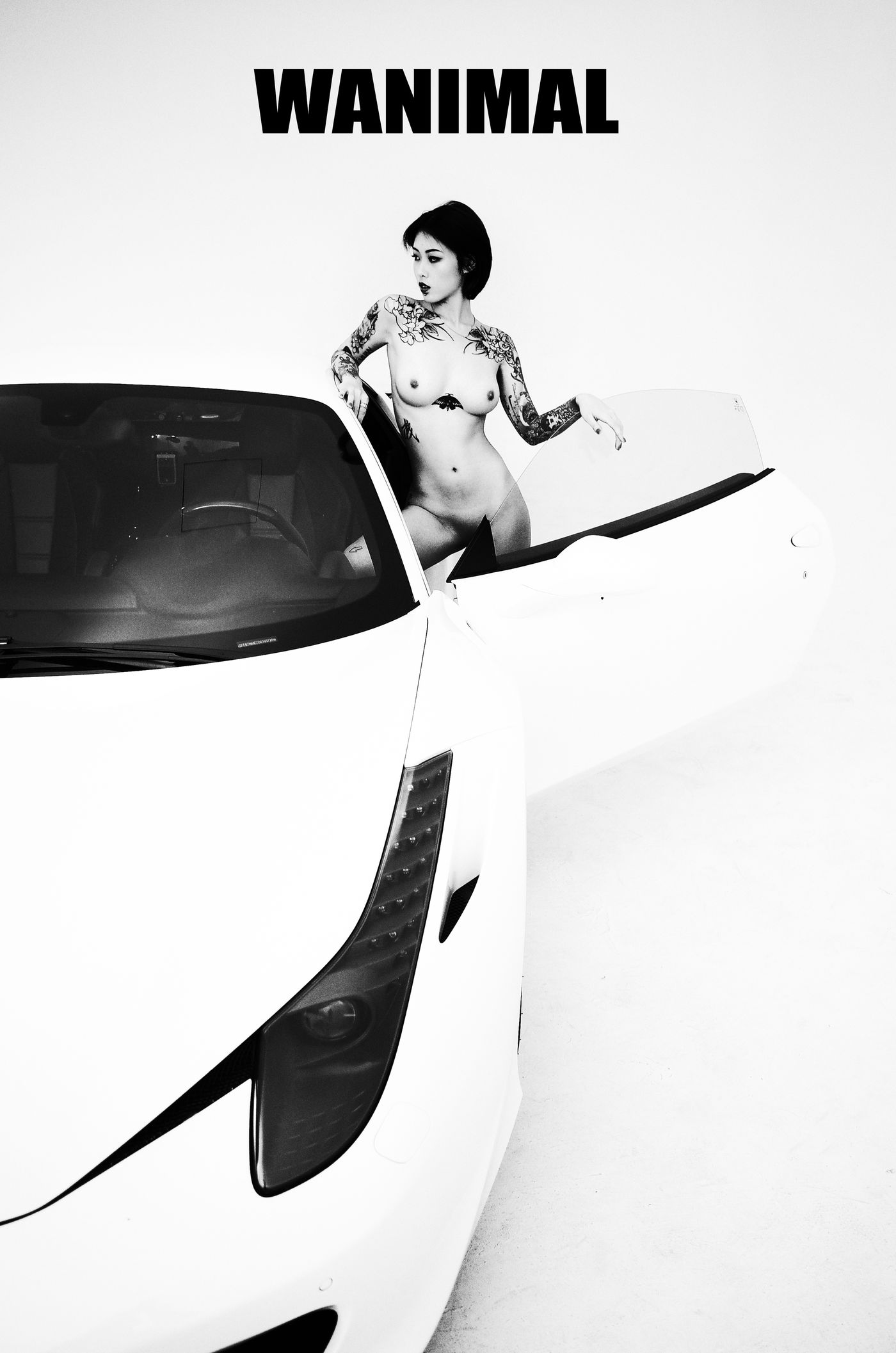 王动出品：法拉利女孩 - 王动作品