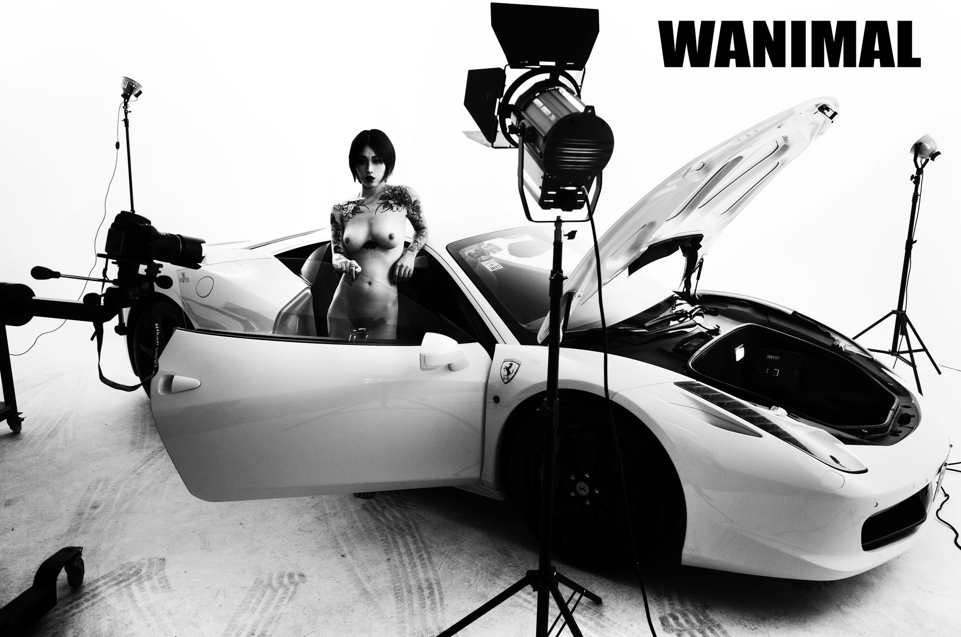 王动出品：法拉利女孩 - 王动作品