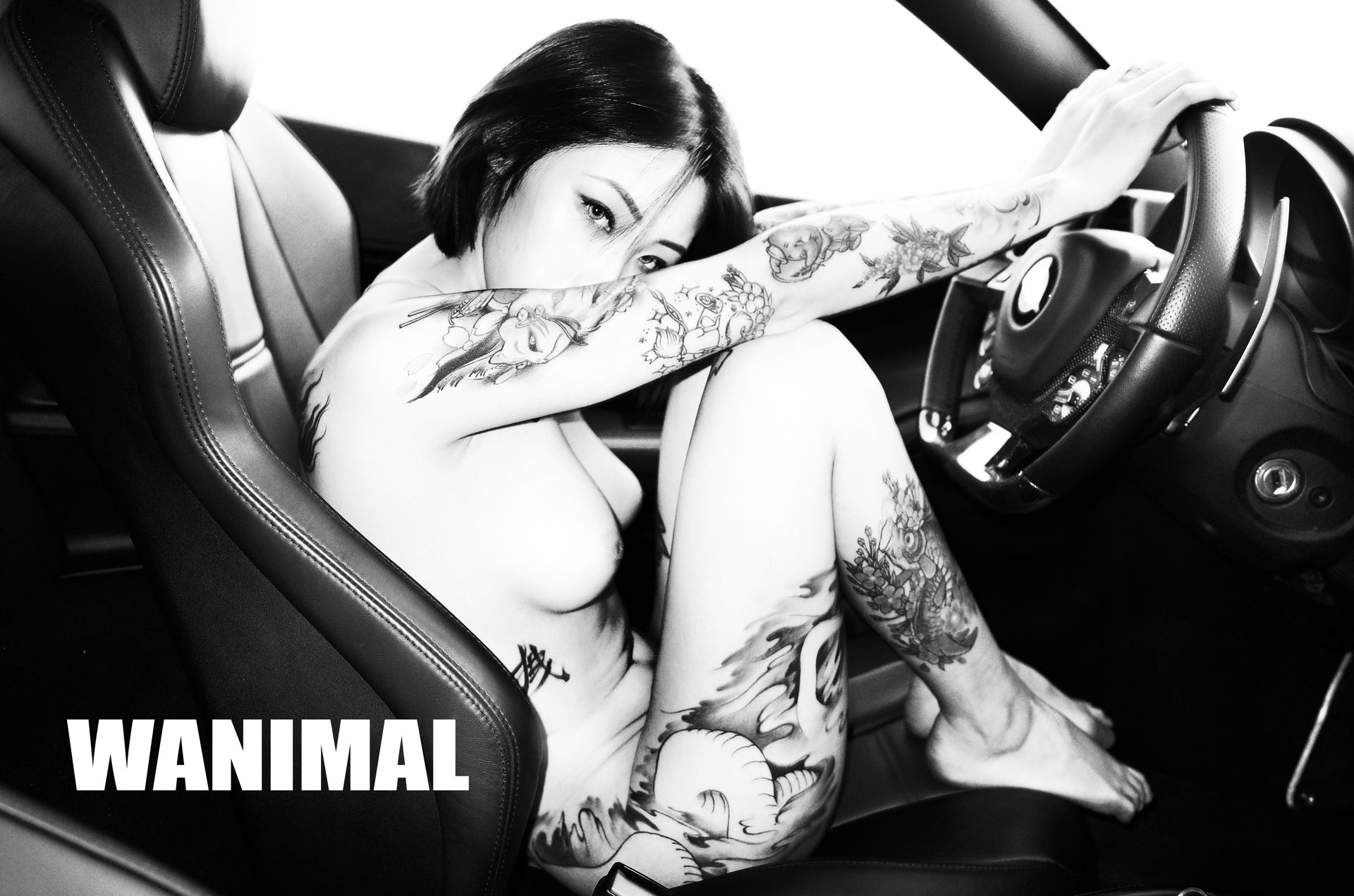 王动出品：法拉利女孩 - 王动作品