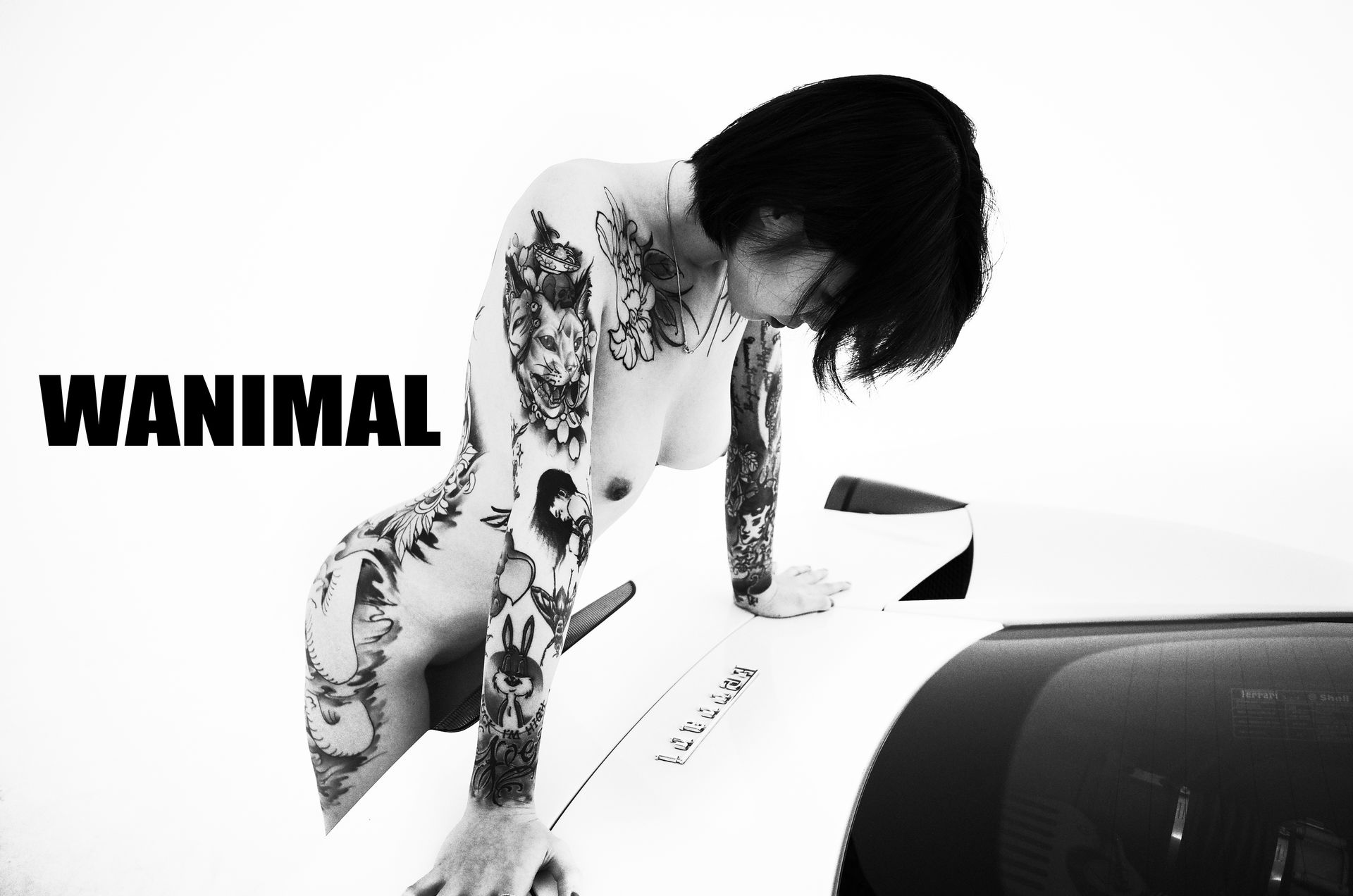 王动出品：法拉利女孩 - 王动作品