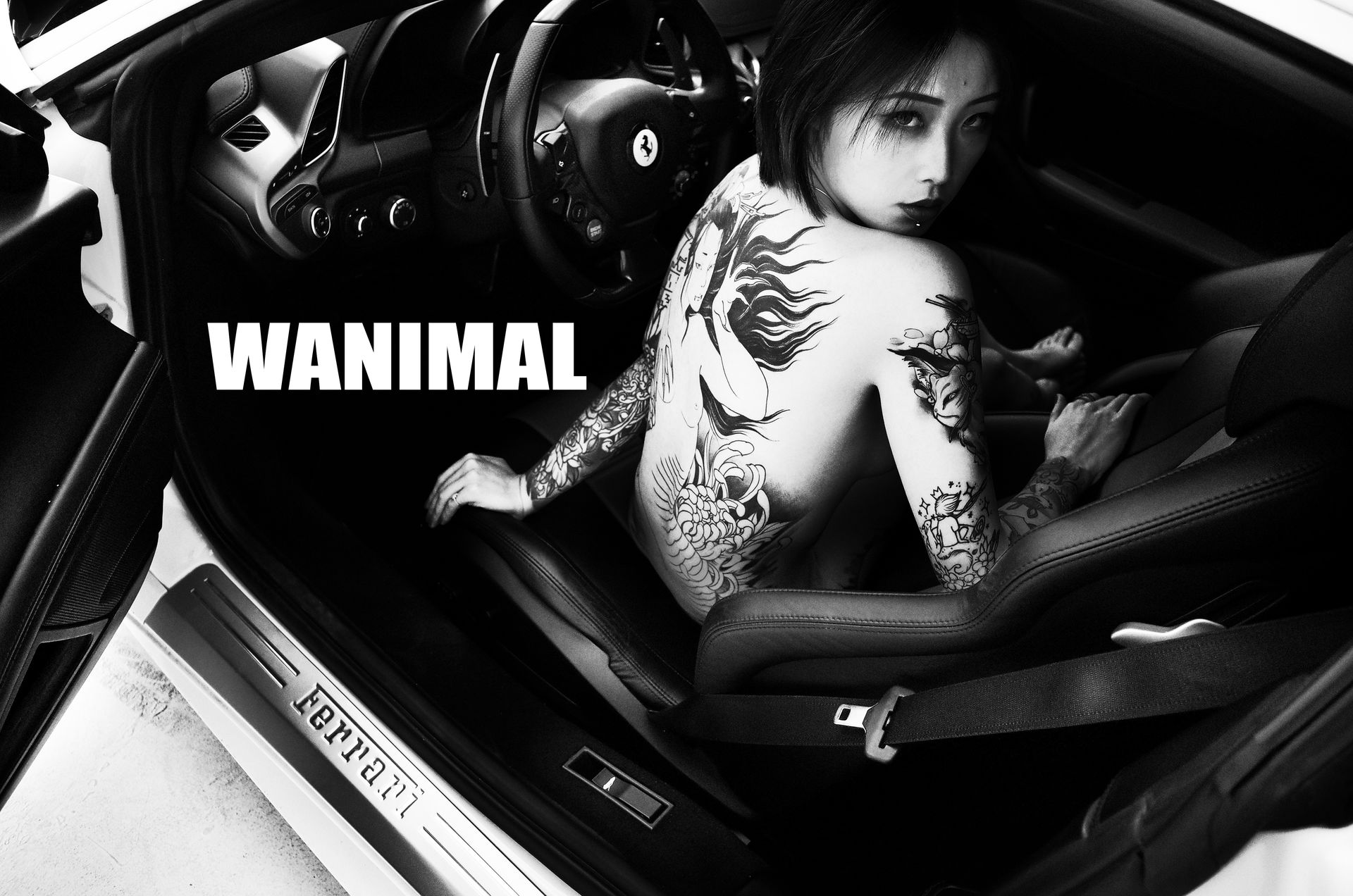 王动出品：法拉利女孩 - 王动作品