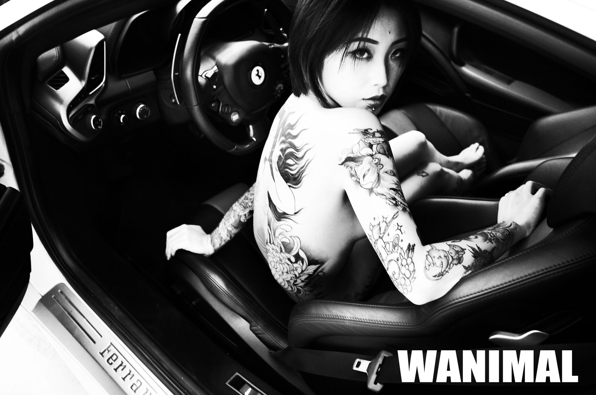 王动出品：法拉利女孩 - 王动作品