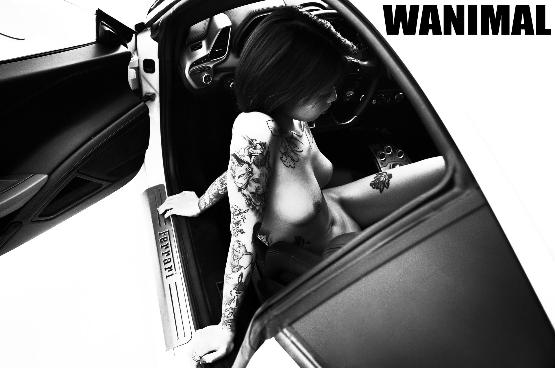 王动出品：法拉利女孩 - 王动作品