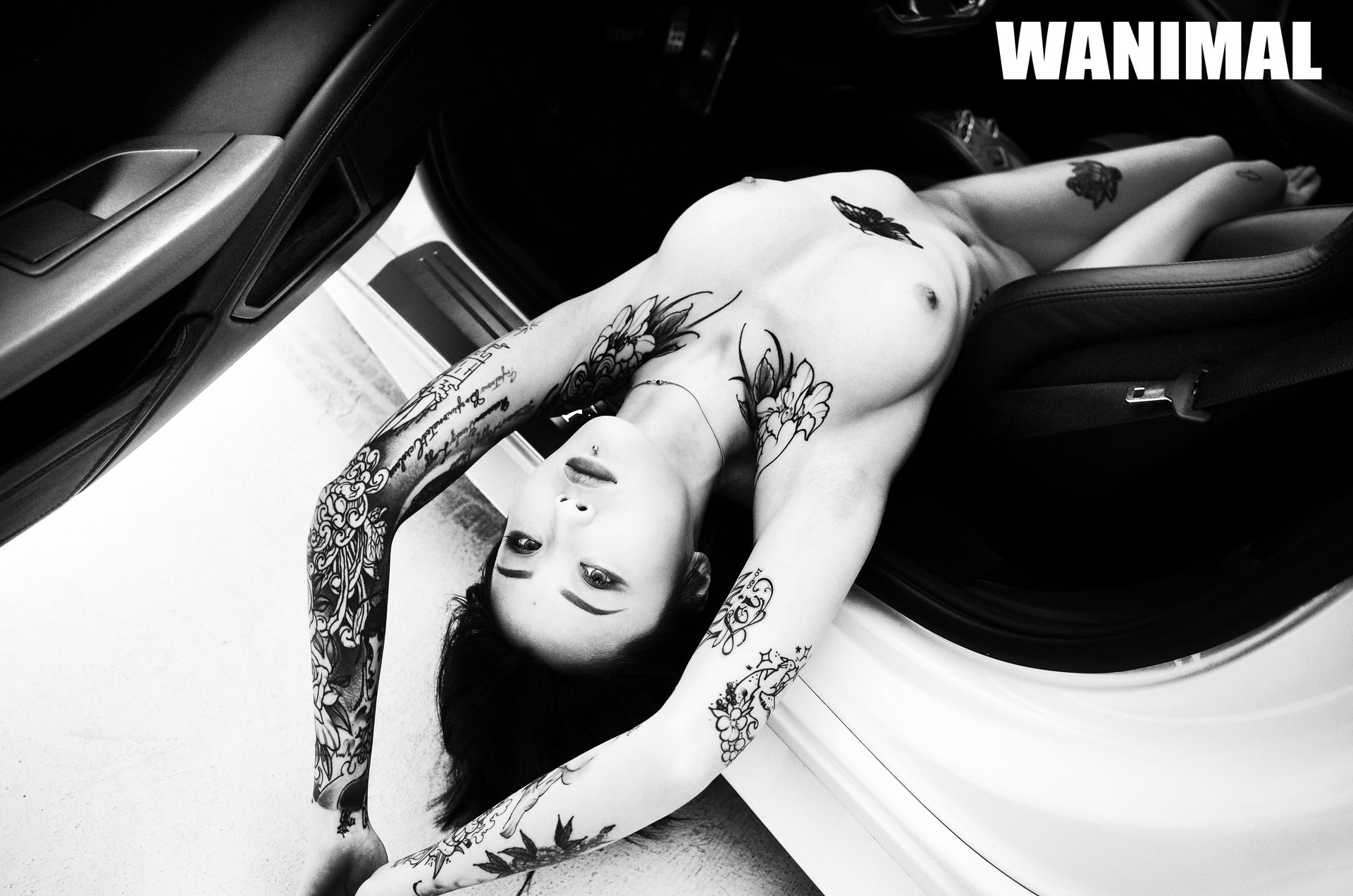 王动出品：法拉利女孩 - 王动作品