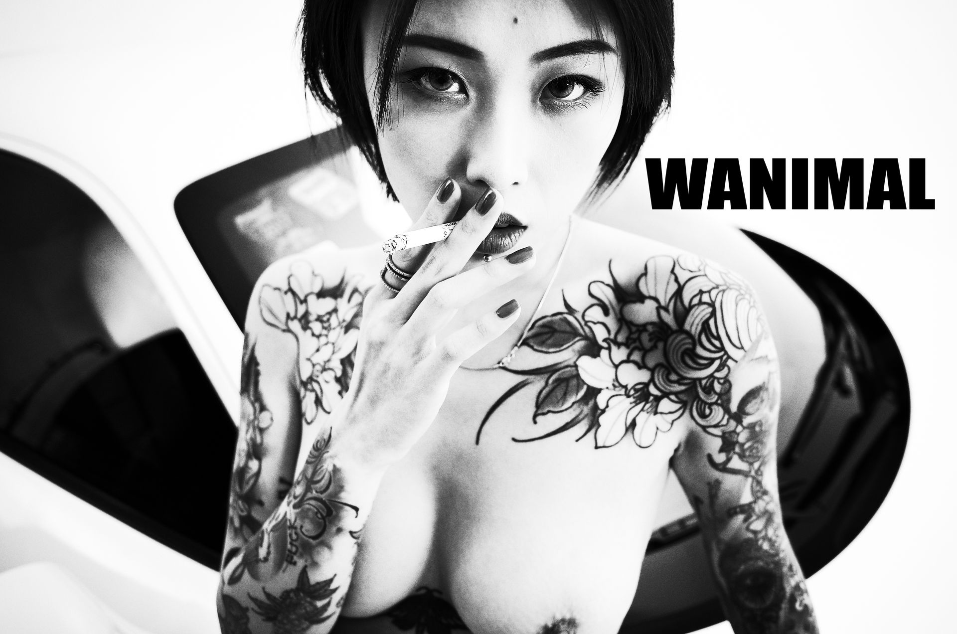 王动出品：法拉利女孩 - 王动作品